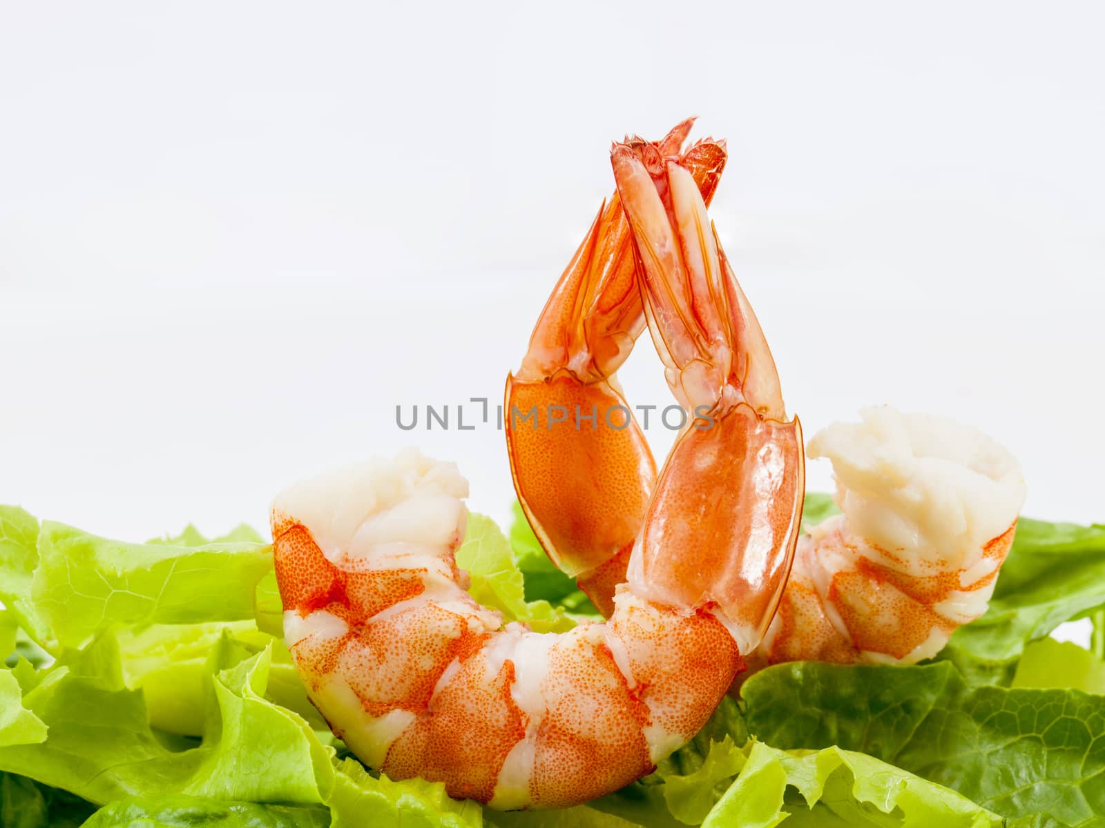 Mixed green salad with shrimps