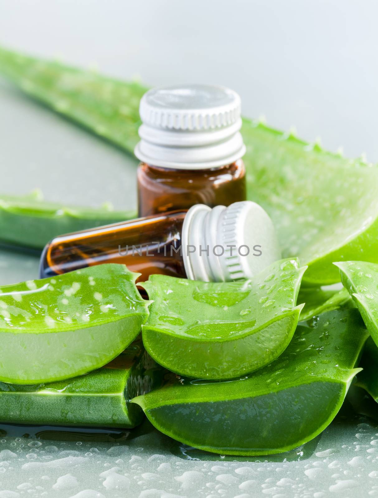  Aloevera - Natural Spas Ingredients  for skin care. by kerdkanno