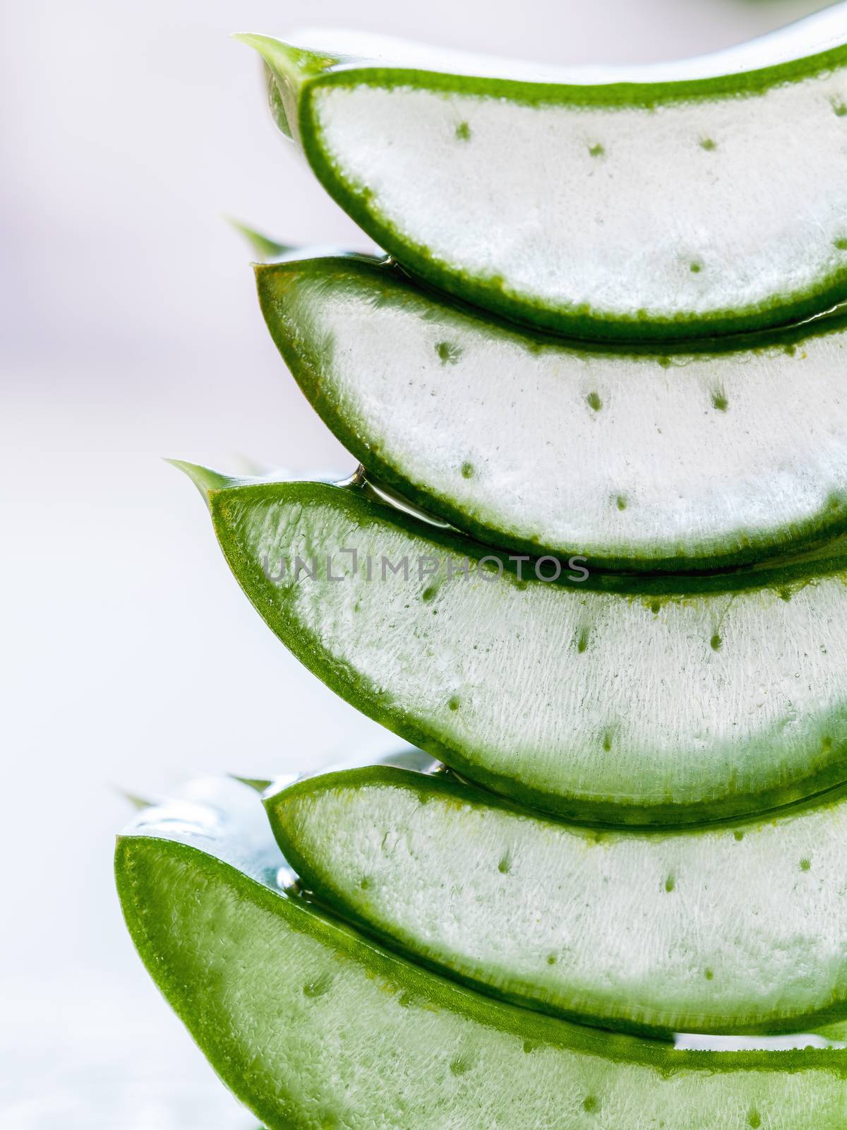 Fresh stacked aloe leaf with water drop.