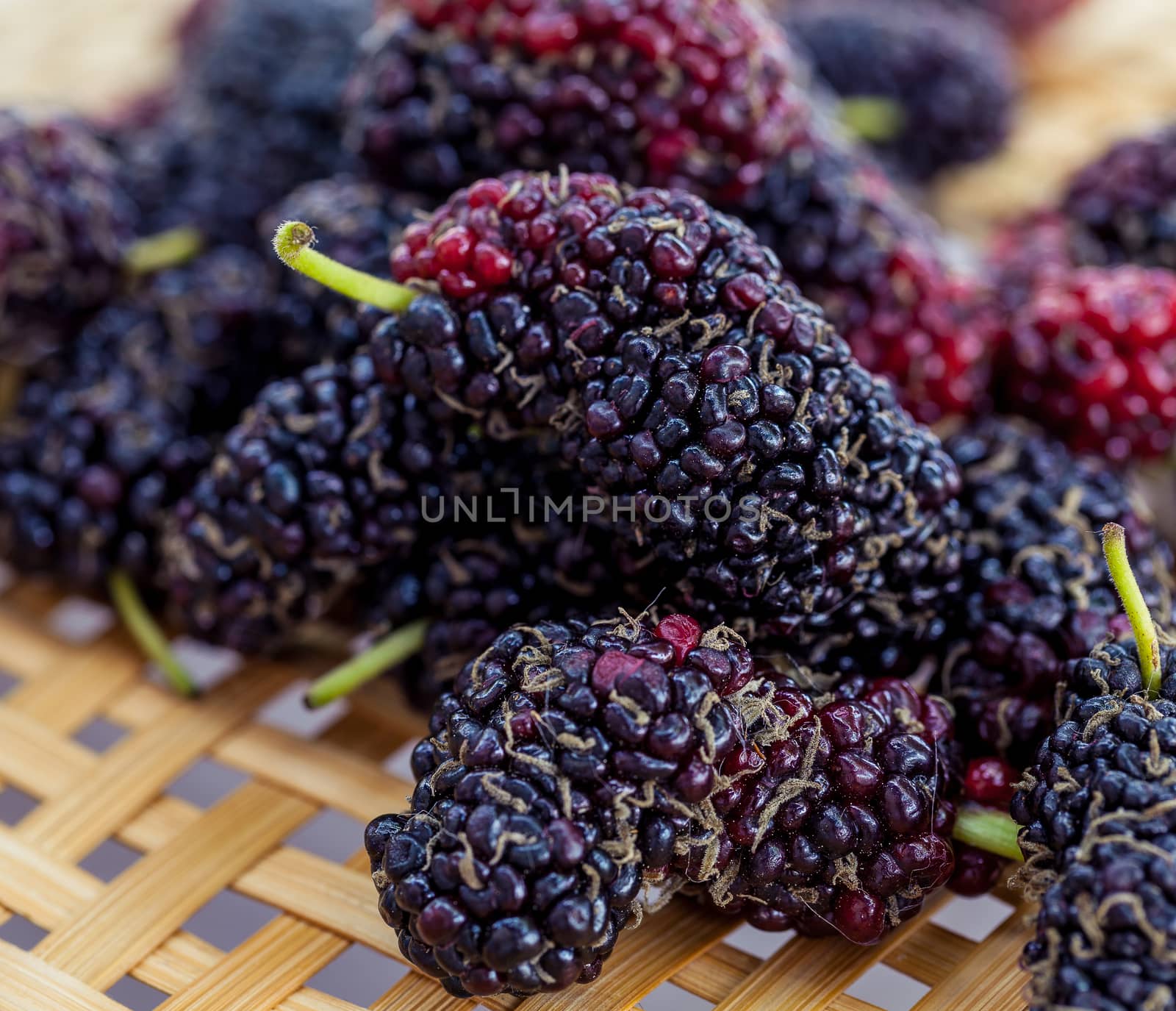 Ripe mulberries macro shot in selective focus. by kerdkanno