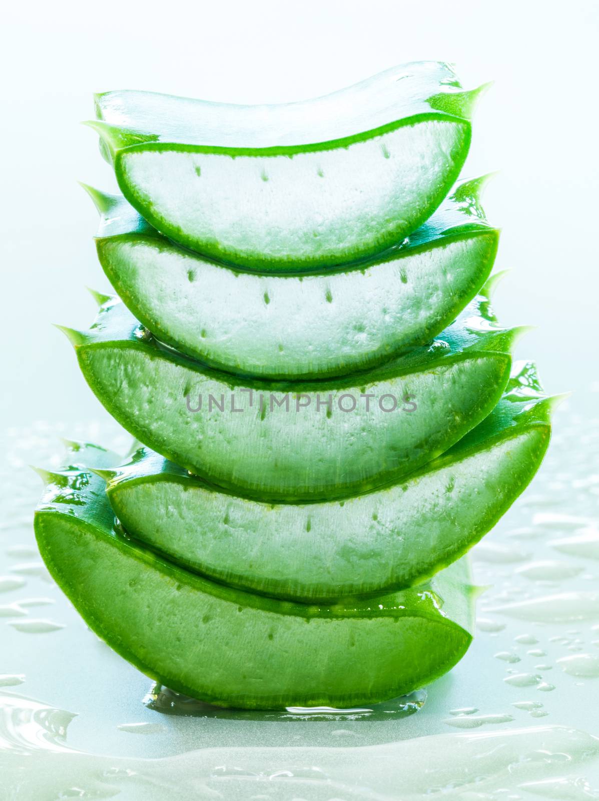 Fresh aloe leaf with water drop .