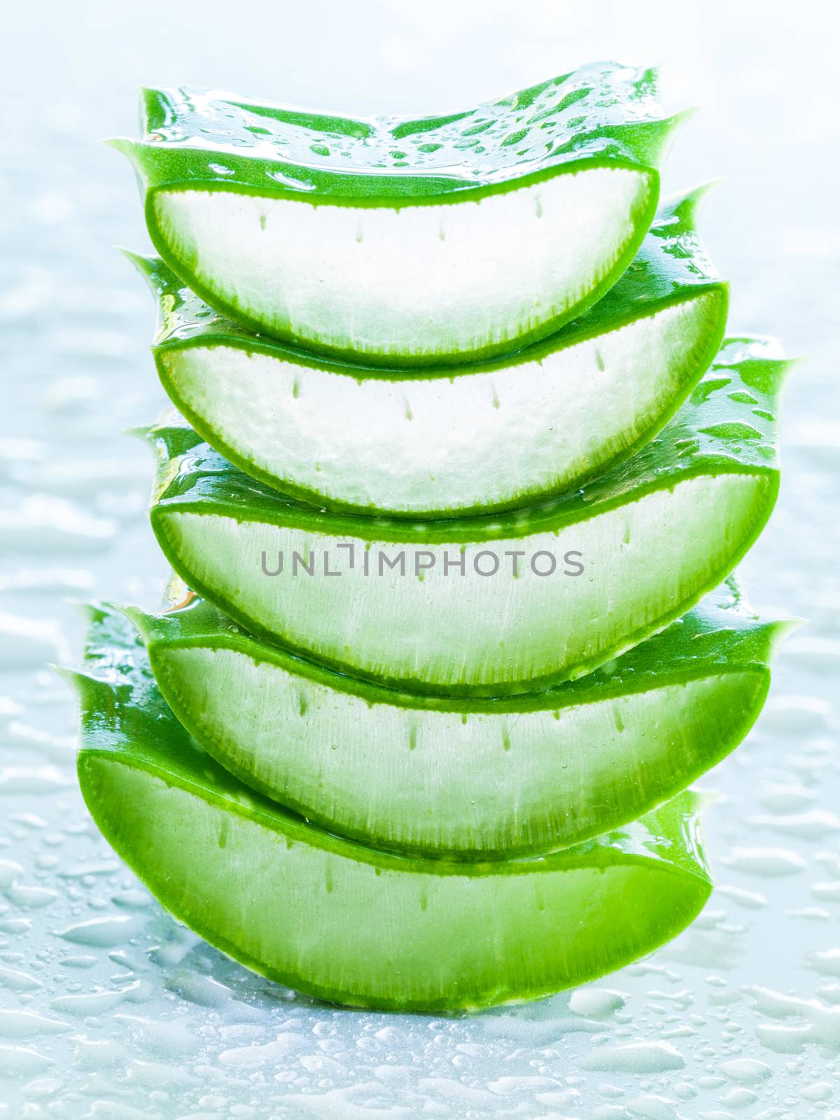 Fresh aloe leaf with water drop .