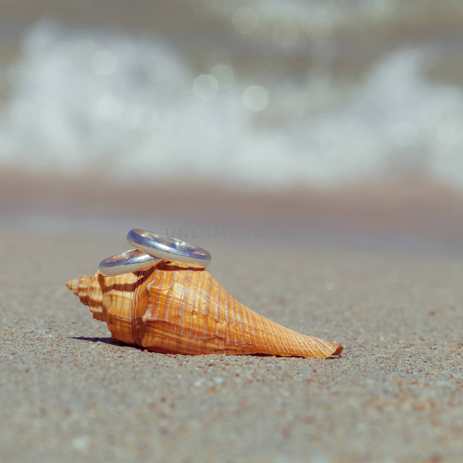 Wedding rings put on the beach side. by kerdkanno