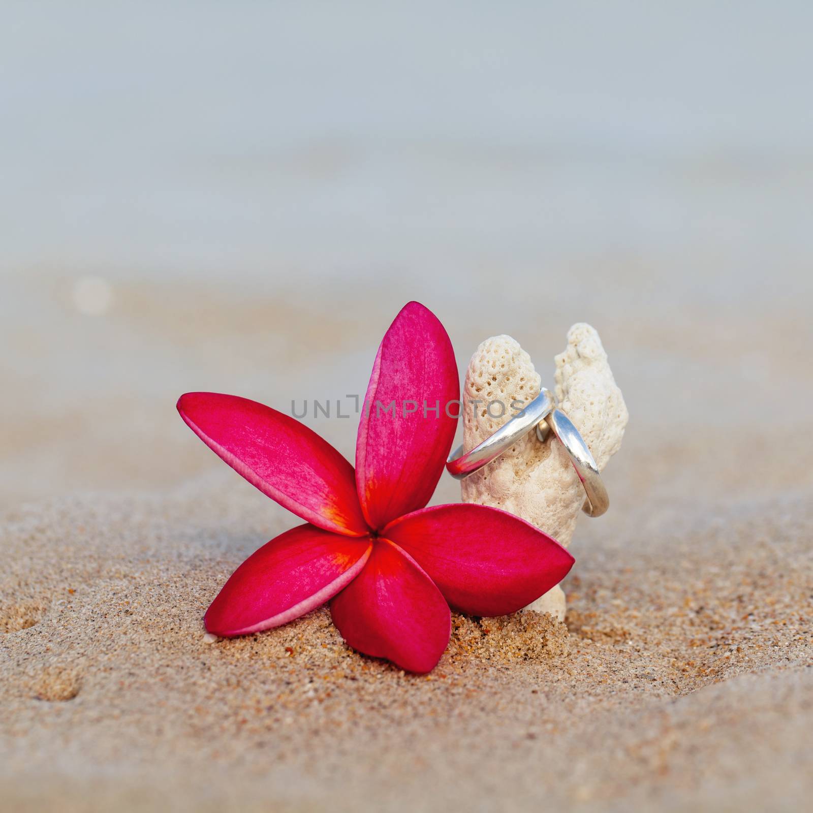 Wedding rings put on the beachside. by kerdkanno