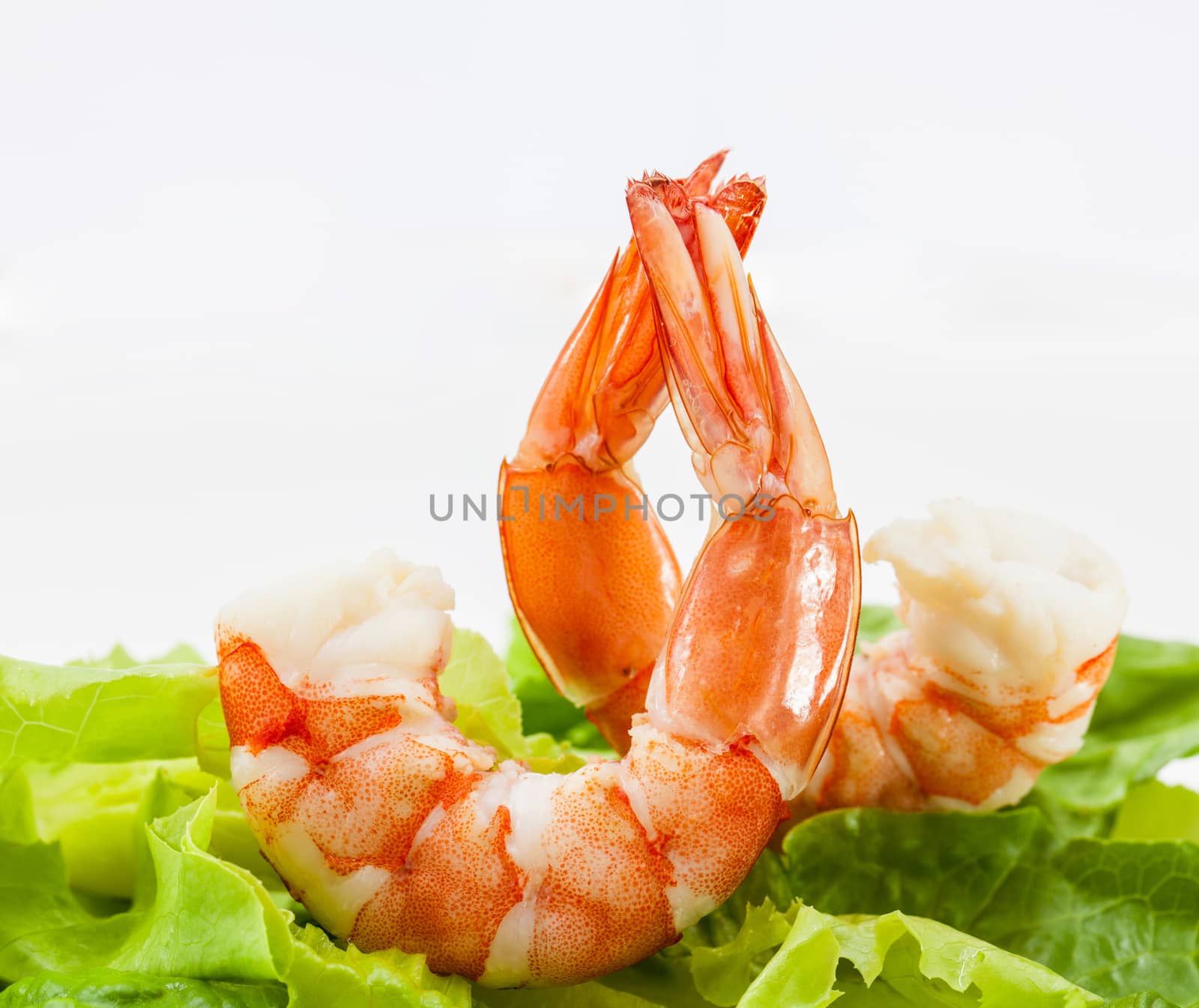 Mixed green salad with shrimps by kerdkanno