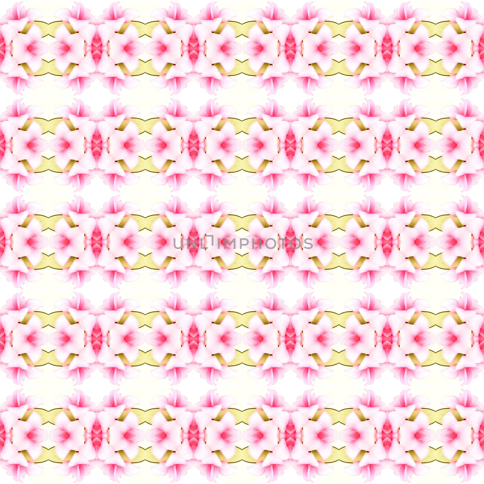 Artificial orchid flowers seamless use as pattern and wallpaper.