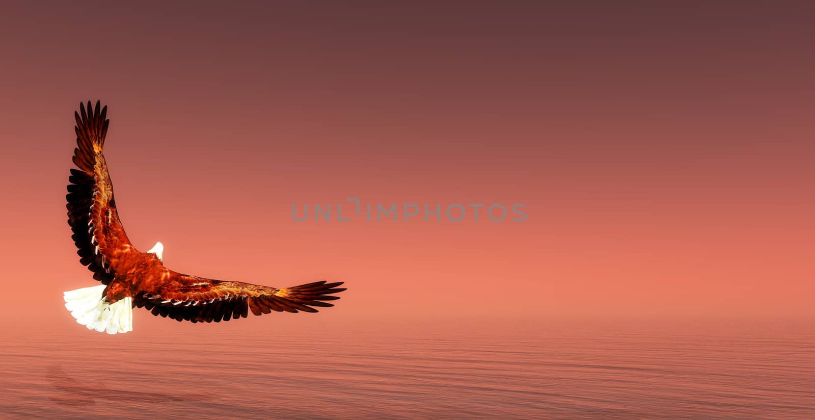 Eagle flying upon ocean in brown background - 3D render