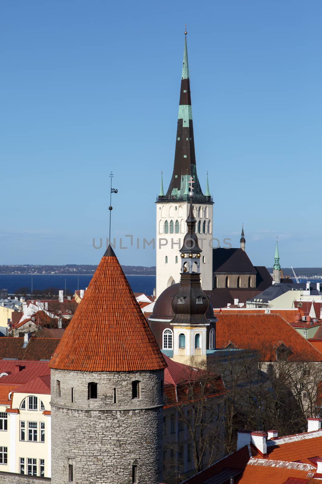 Landscape of Tallinn with Tallinn Walls and St Olaf's Church view, on blue sky background.