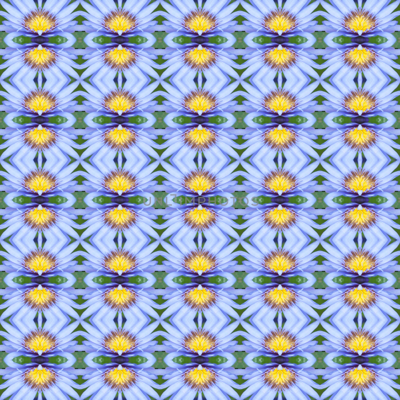 Blue Lotus in full bloom seamless use as pattern and wallpaper.