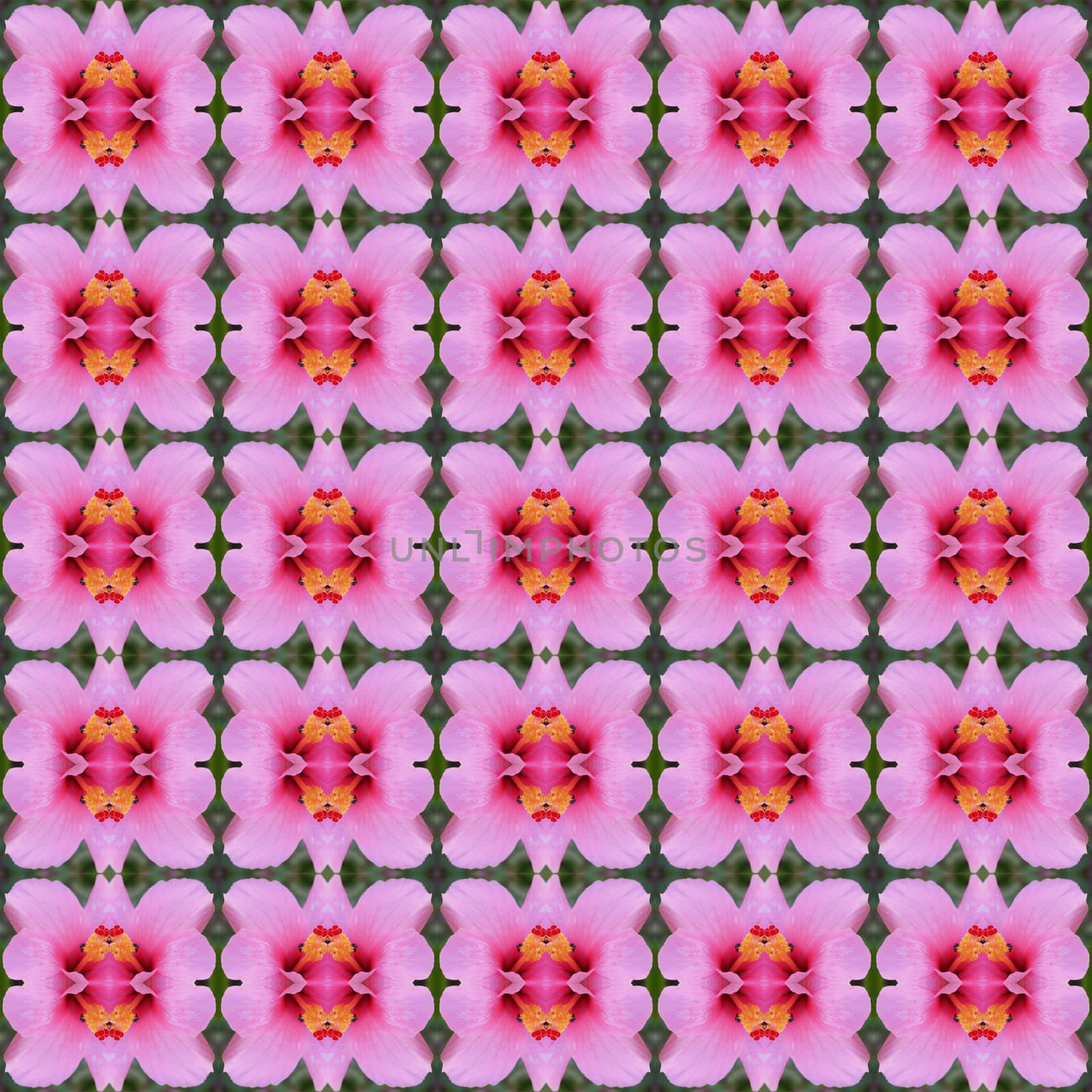 Beautiful pink hibiscus flower seamless use as pattern and wallpaper.