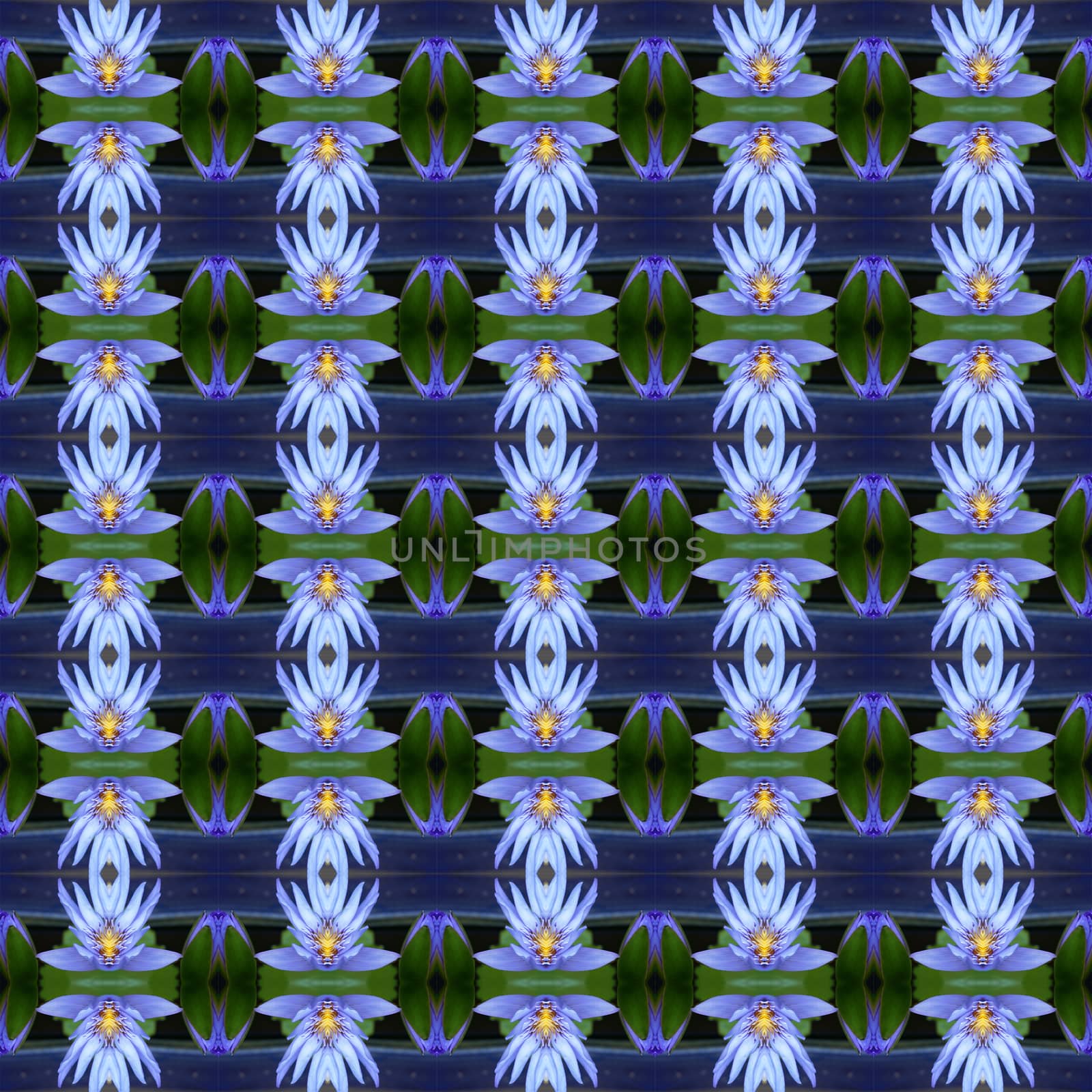 Blue Lotus in full bloom seamless use as pattern and wallpaper.