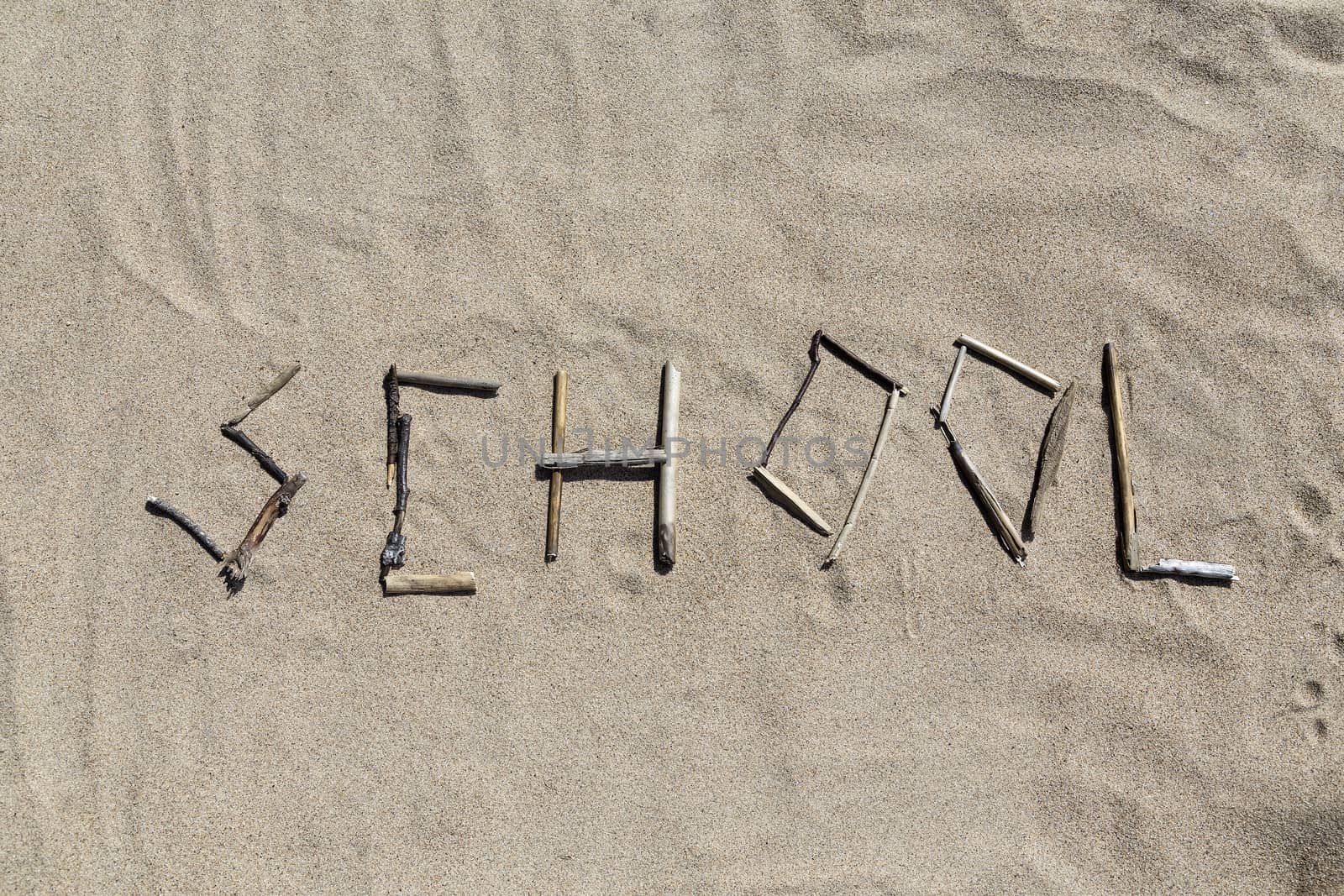 A set of sticks forming the word school in a sandy beach use it for background