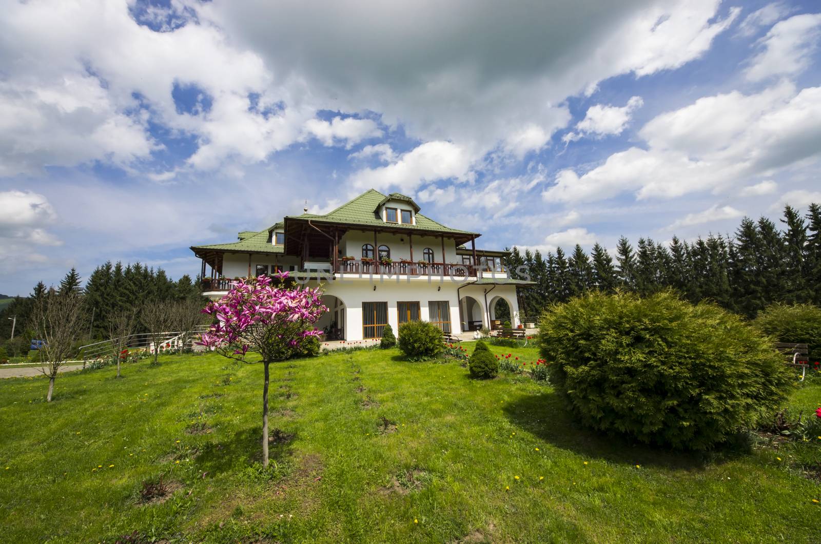 Beautiful house with big green garden