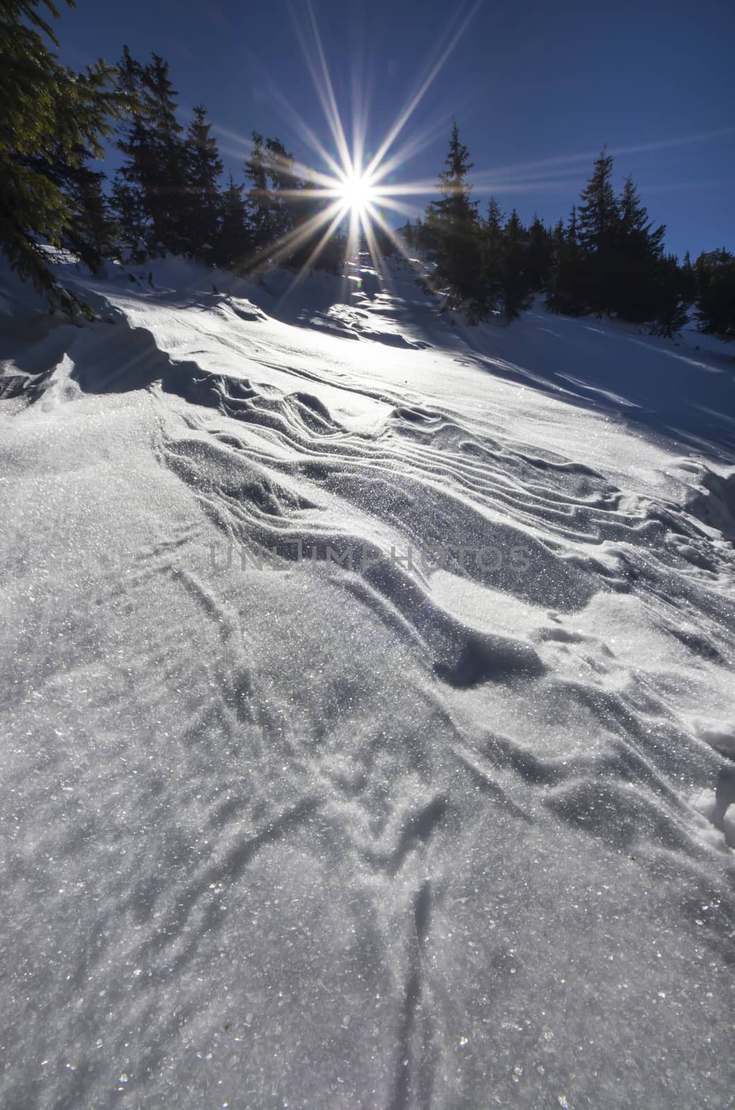 Beautiful winter day on the mountain, sun and snow.