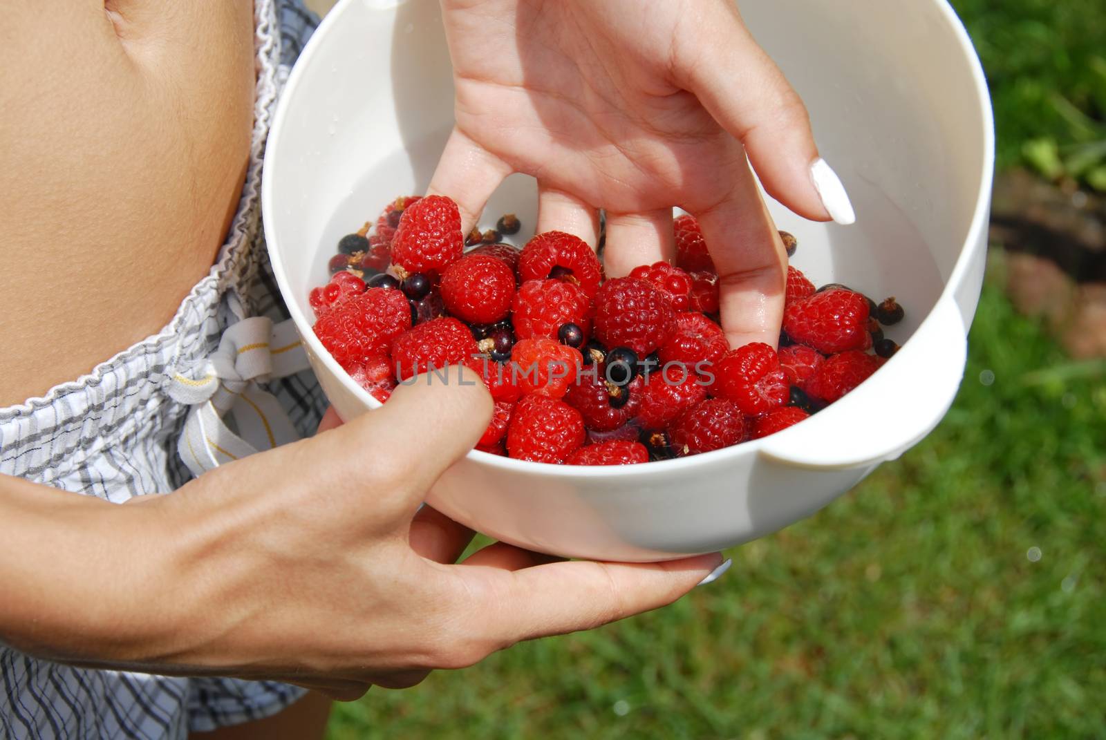 woman hand holding white bowl with raspberries and black currants