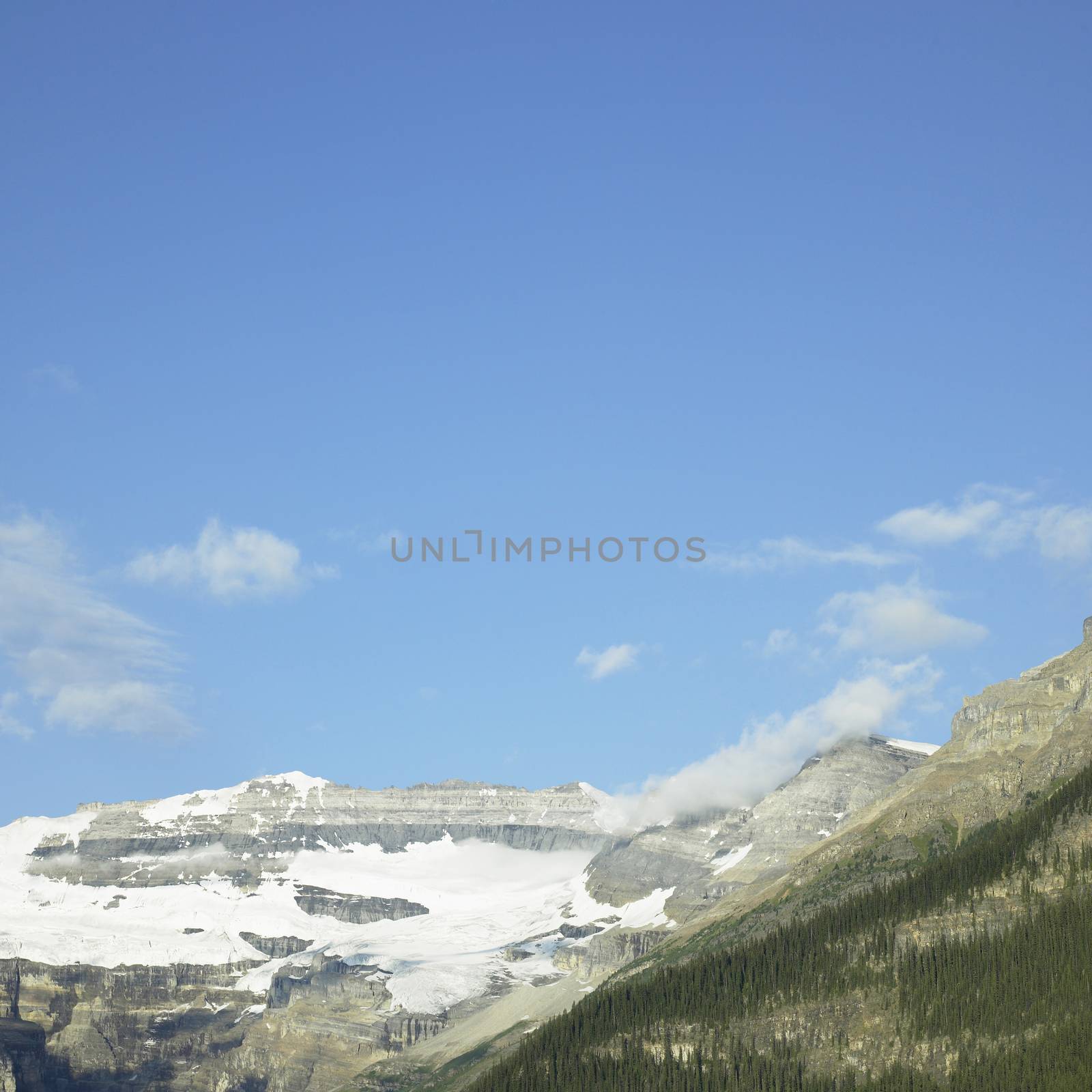 Snow and evergreen covered rocky mountain with blue sky