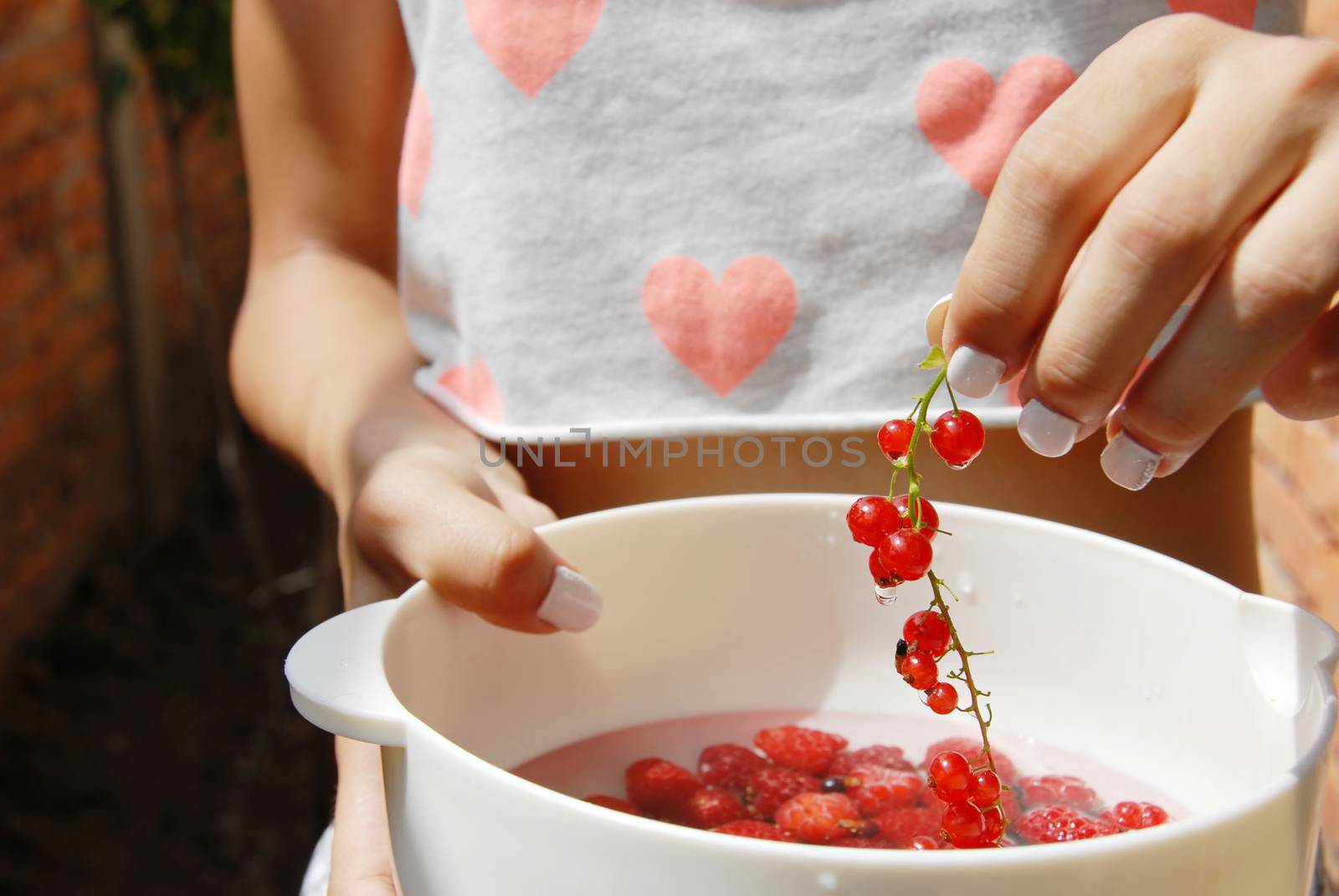 woman hand holding red currants above white bowl full of raspberries
