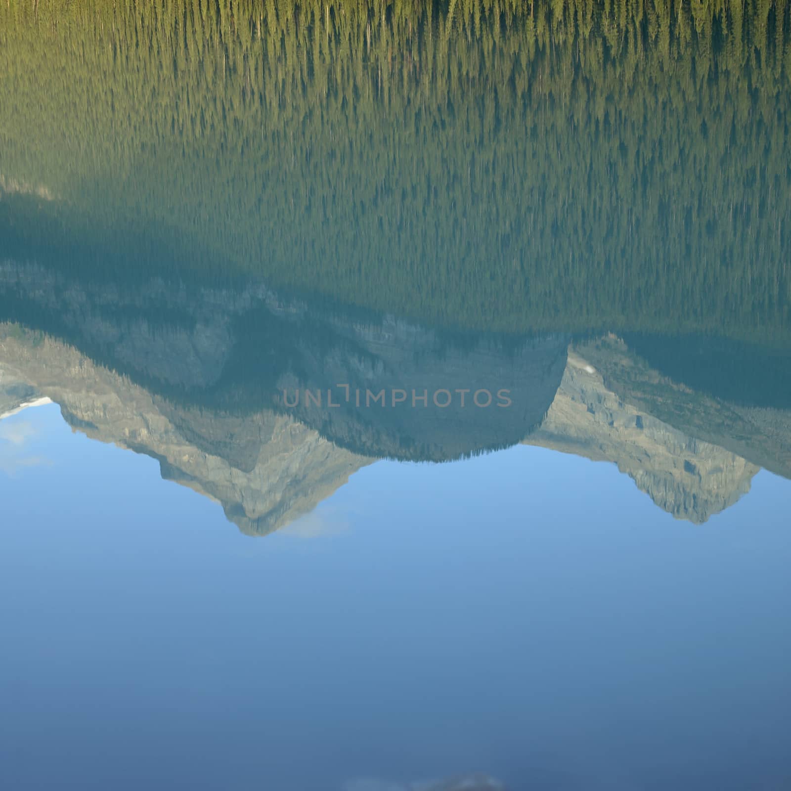Reflection of an evergreen covered mountain surrounding a perfectly calm green lake