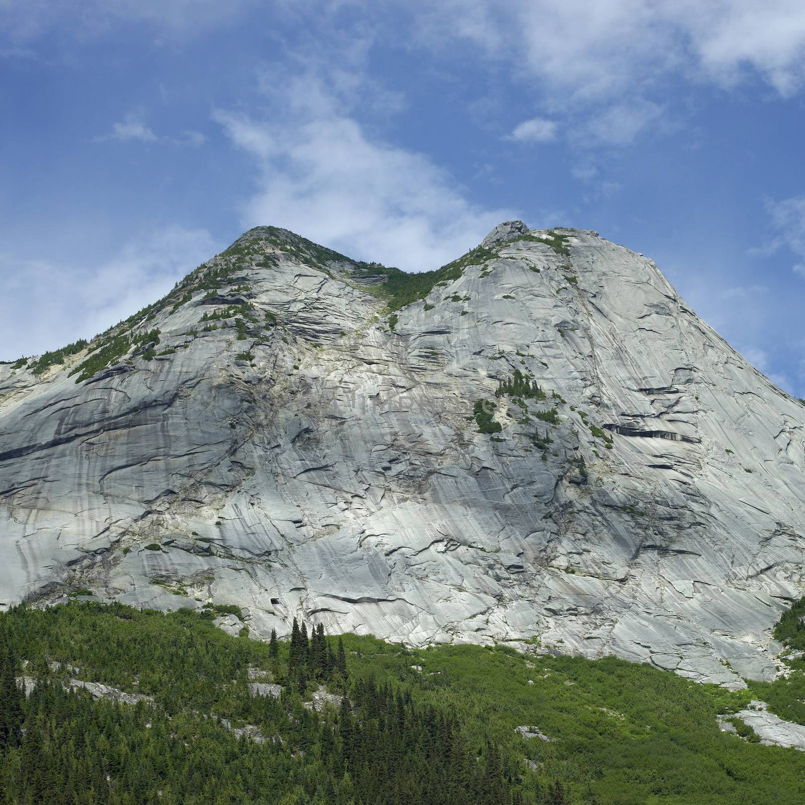 Sheer face of a rocky mountain with green trees in the foreground