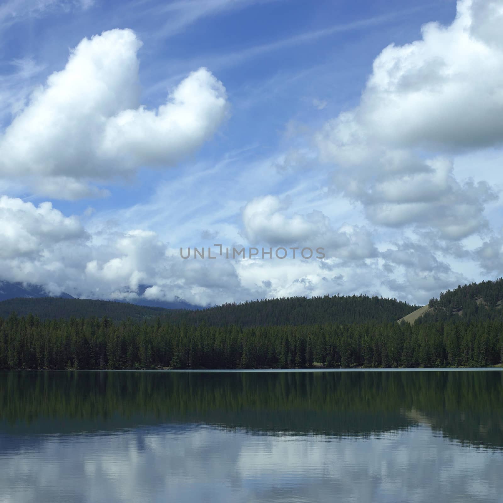 Lake Reflection  by mmm