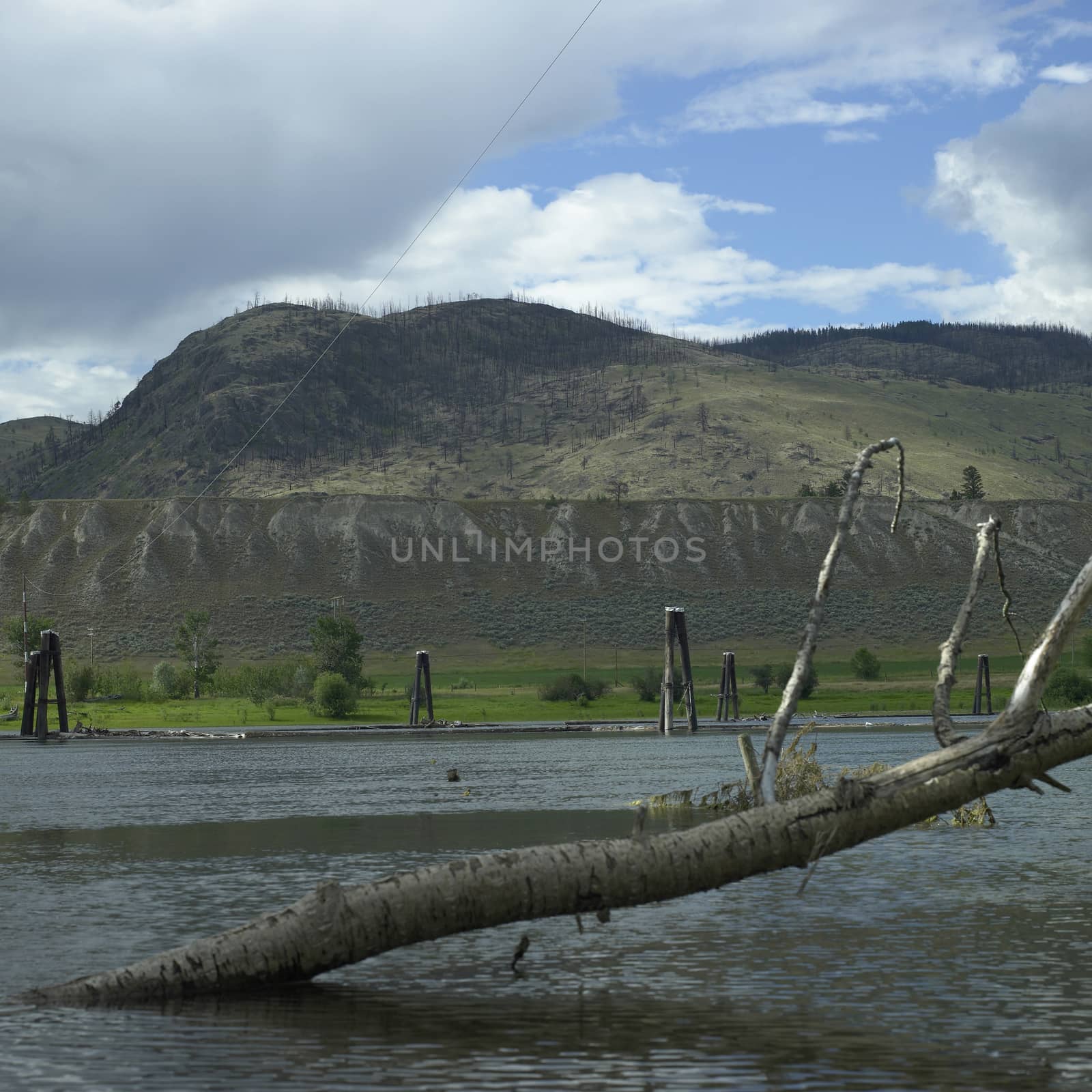 A tree jutting out of a calm lake in the mountains with man made wooden structures 
