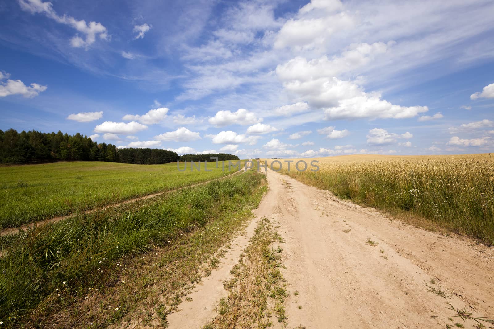   the small not asphalted road in rural areas