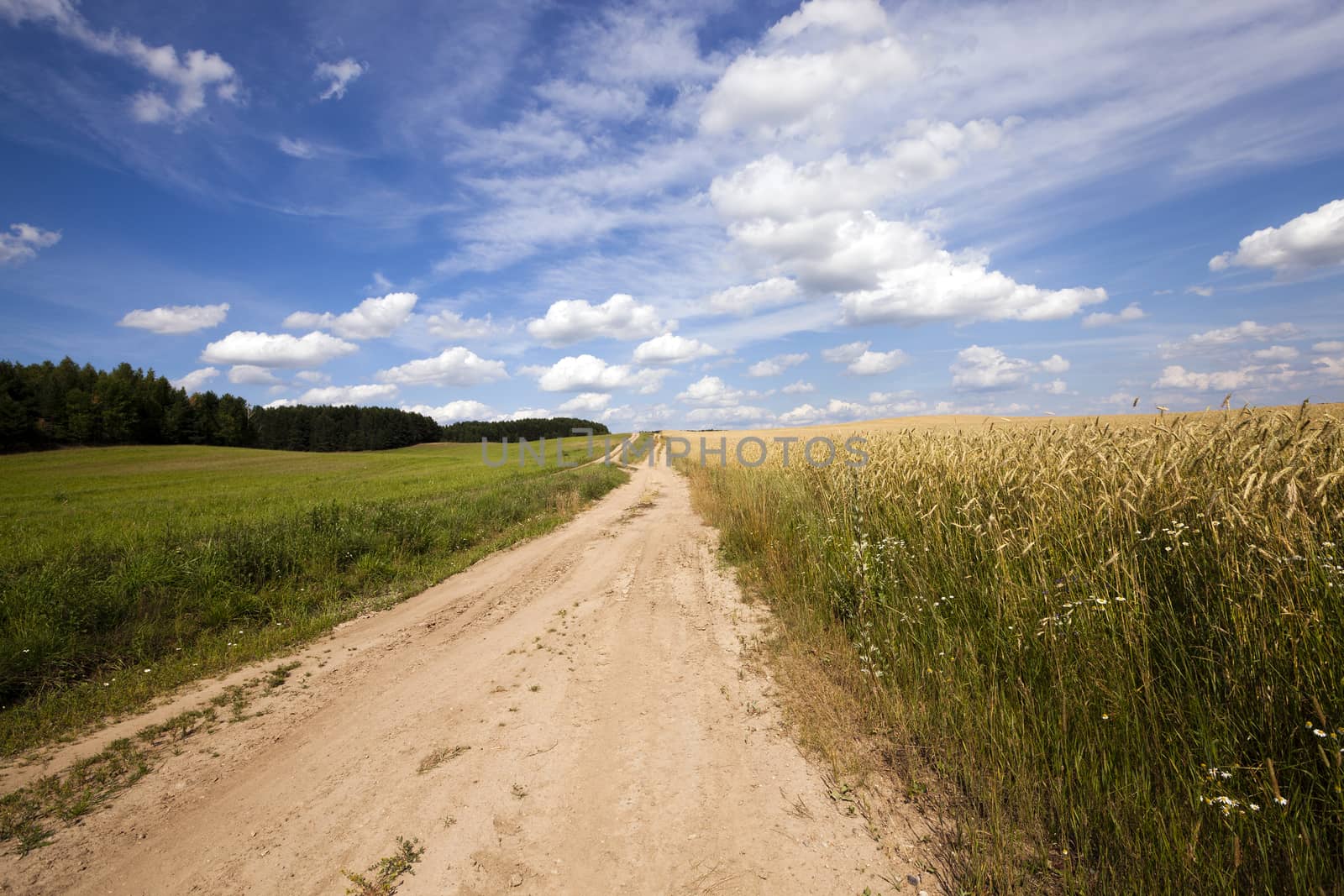   the small not asphalted road in rural areas