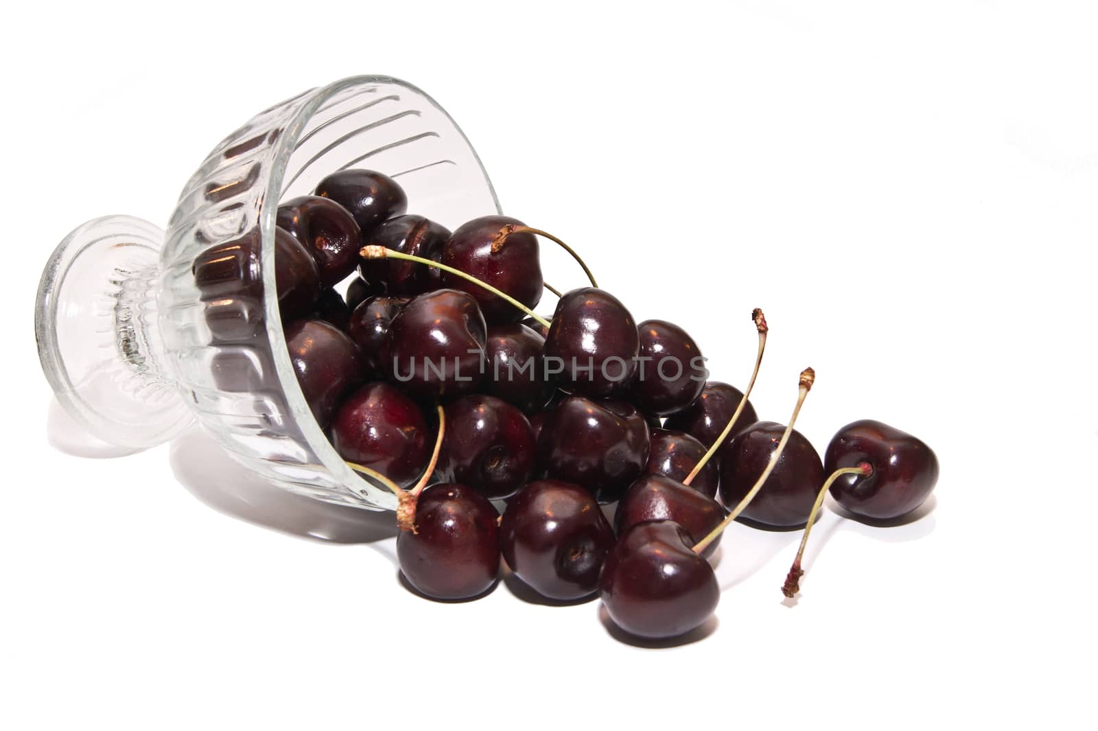 The ripe black cherry favorite, delicious fruit.