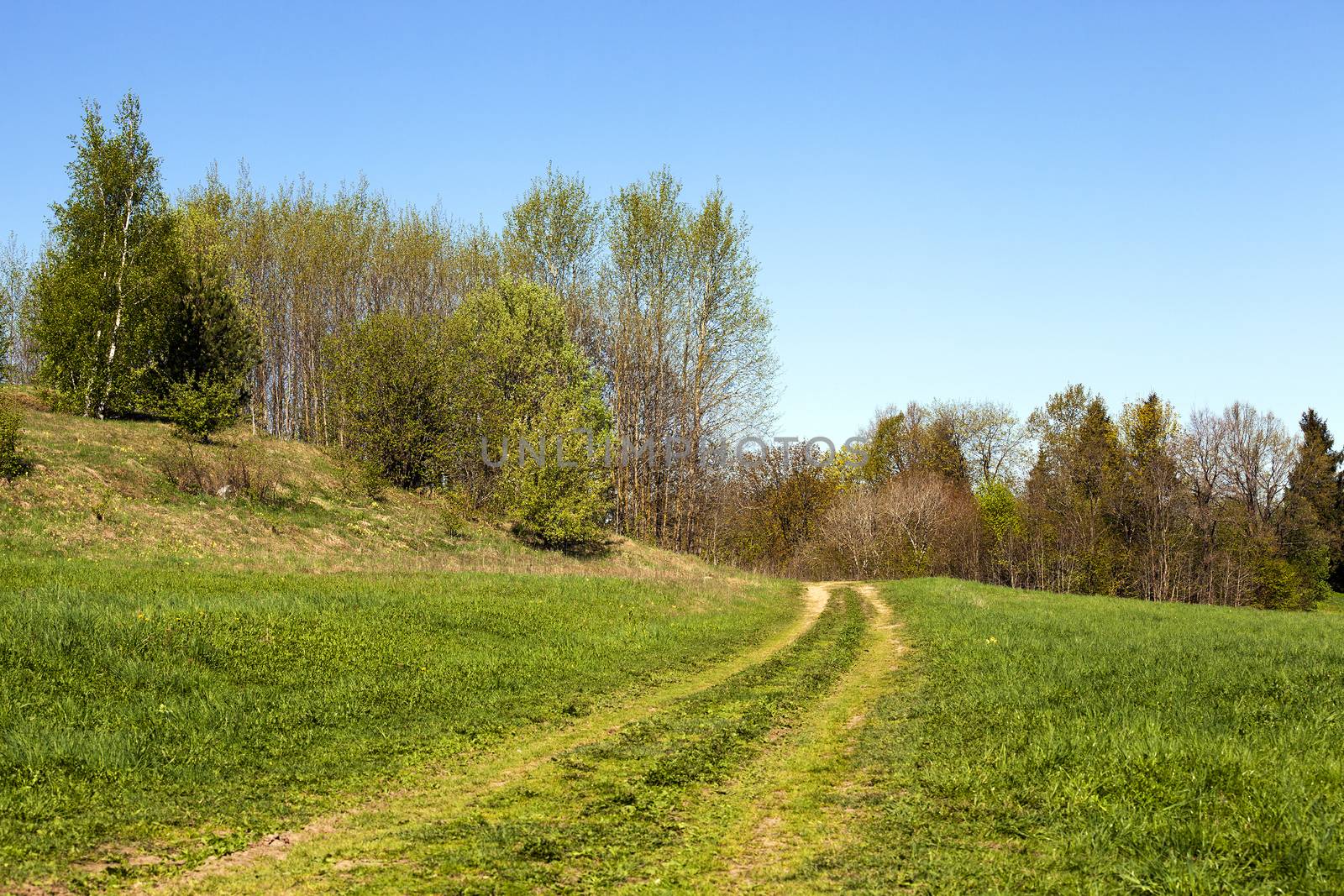   the rural not asphalted road which is passing across the field