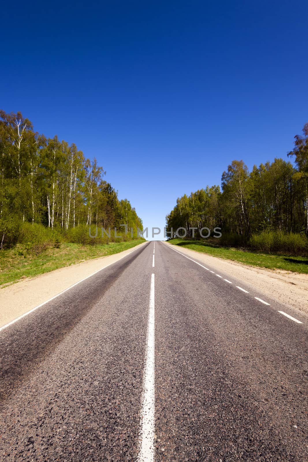   the small rural asphalted road photographed in summertime of year. Belarus