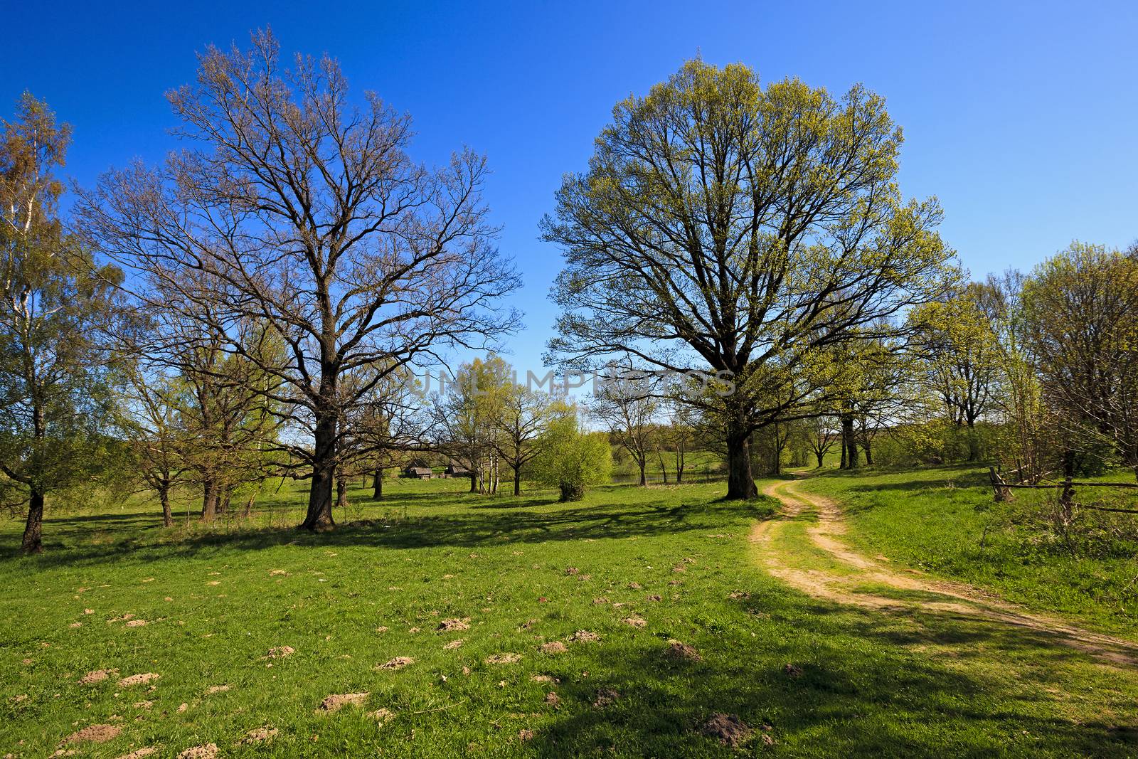   the rural not asphalted road which is passing across the field
