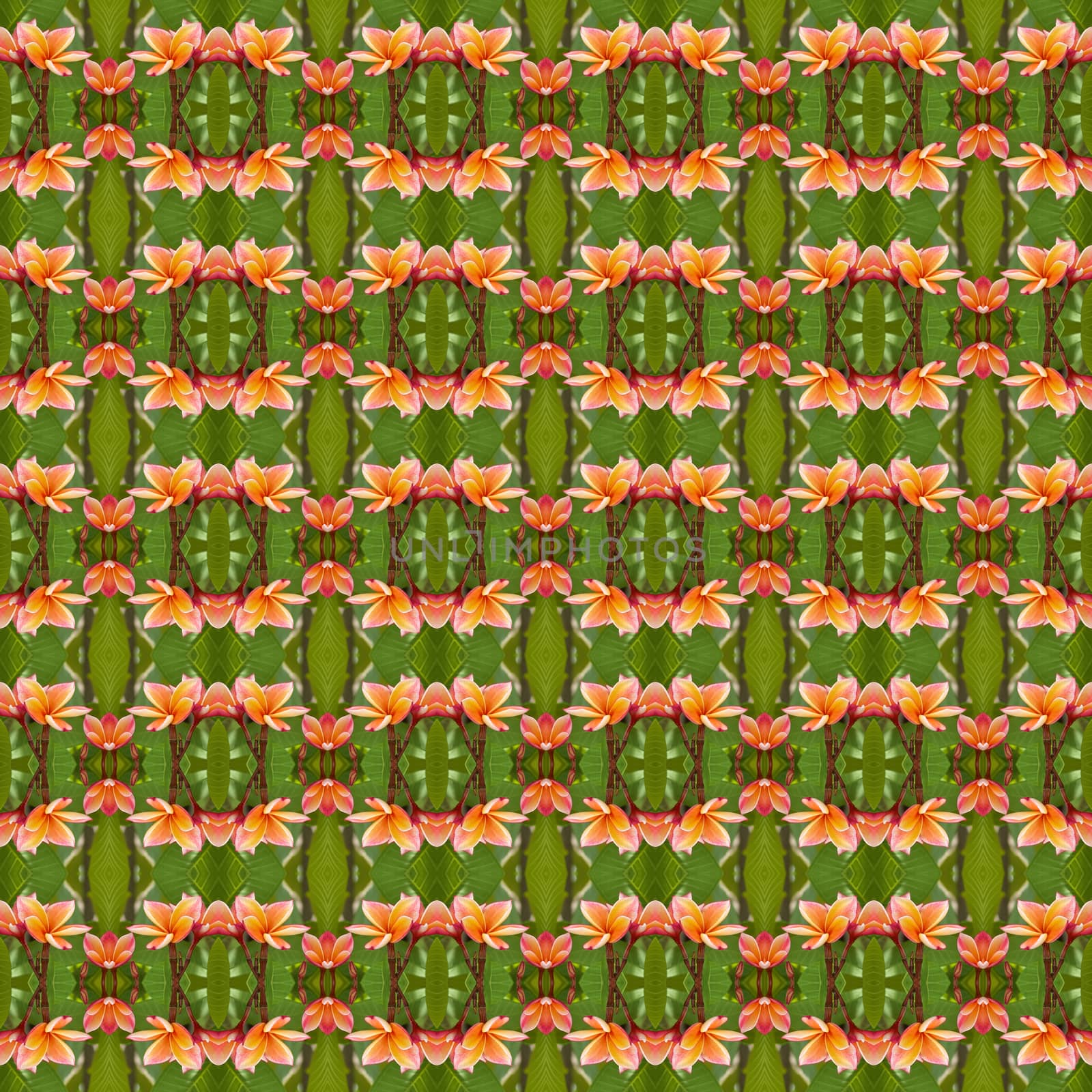 Plumeria or Luntom red flower seamless use as pattern and wallpaper.