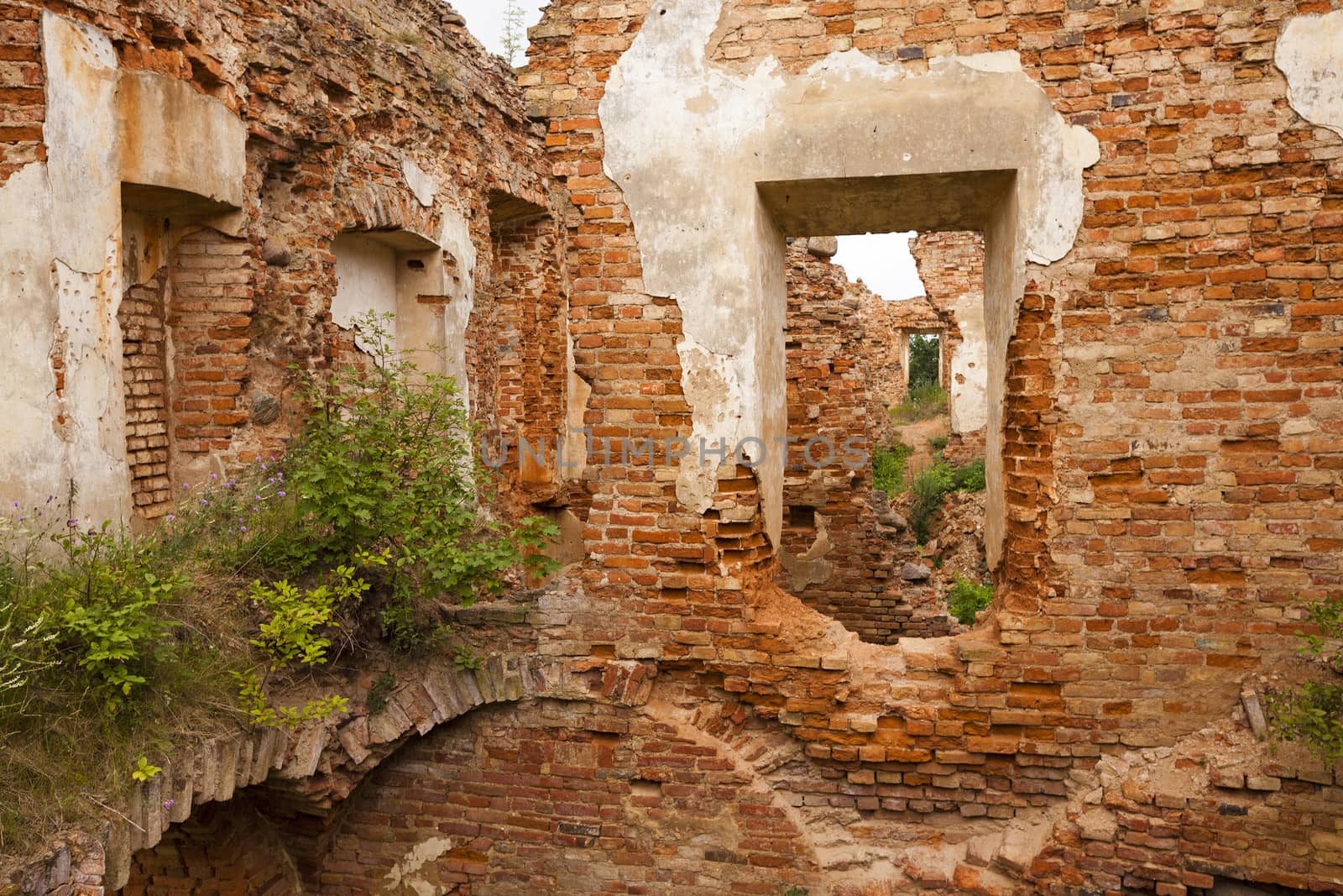   ruins of the ancient fortress located in the village of Golshany, Belarus