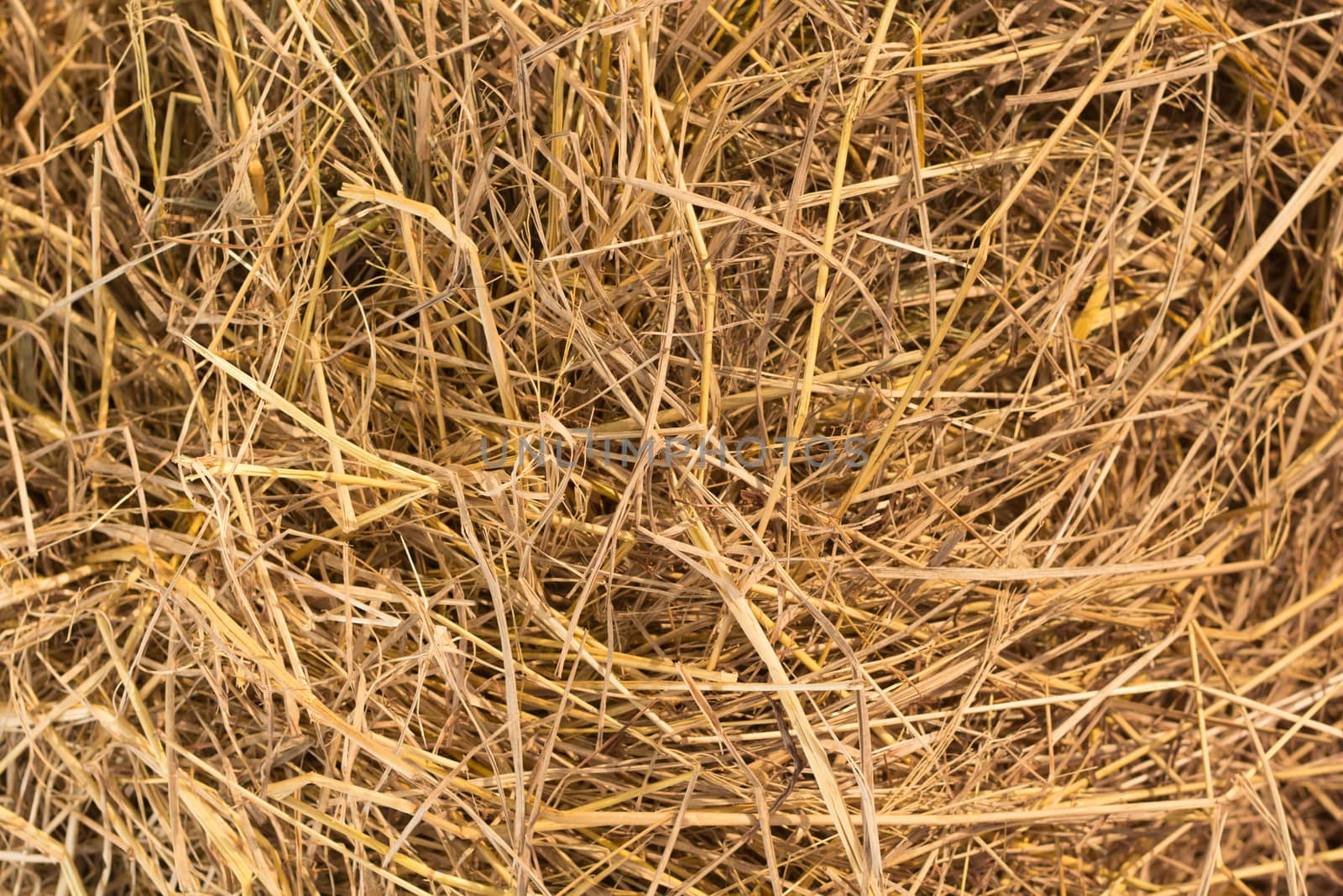 View to straw closeup as background