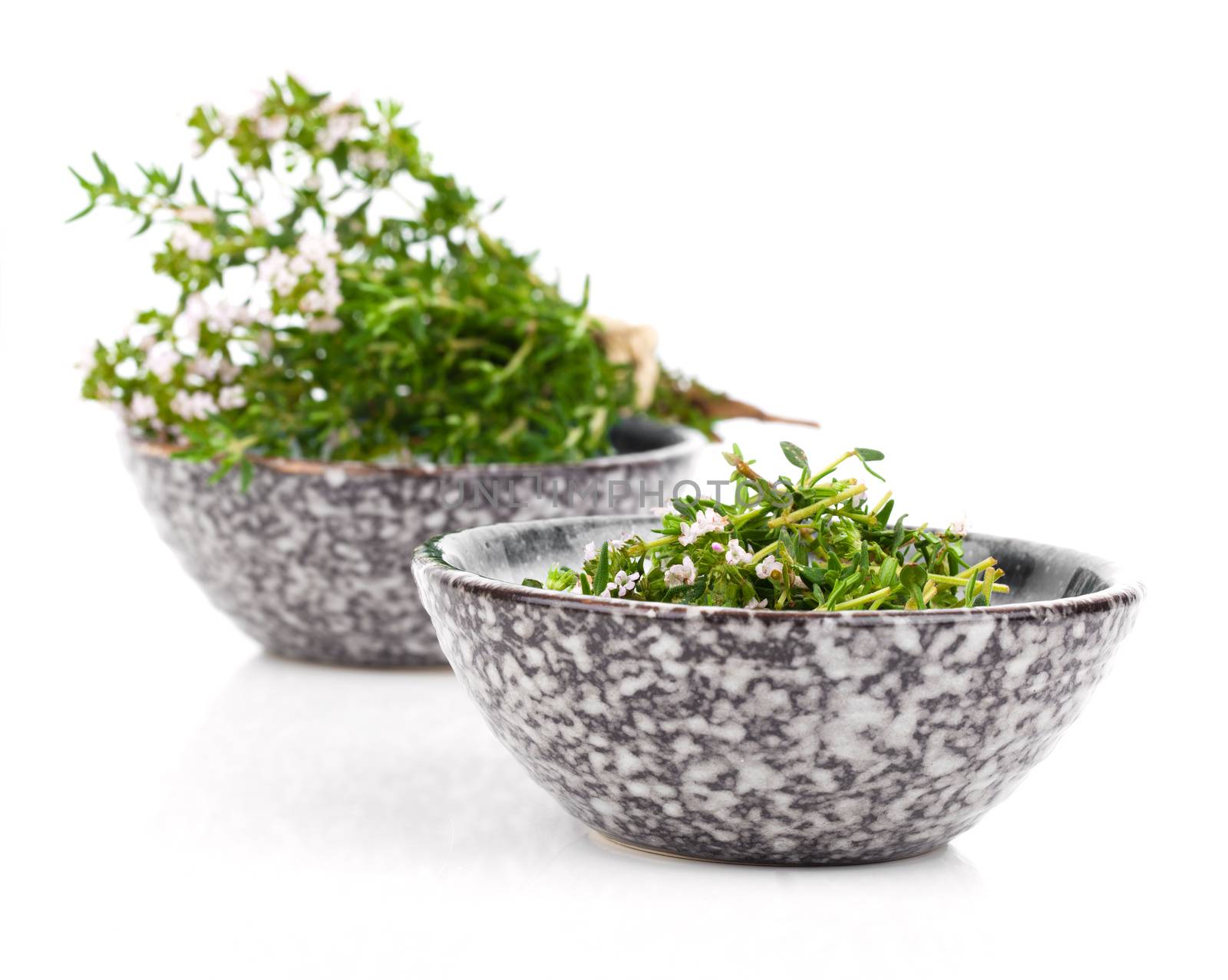 Thyme in bowl isolated on white background. by motorolka