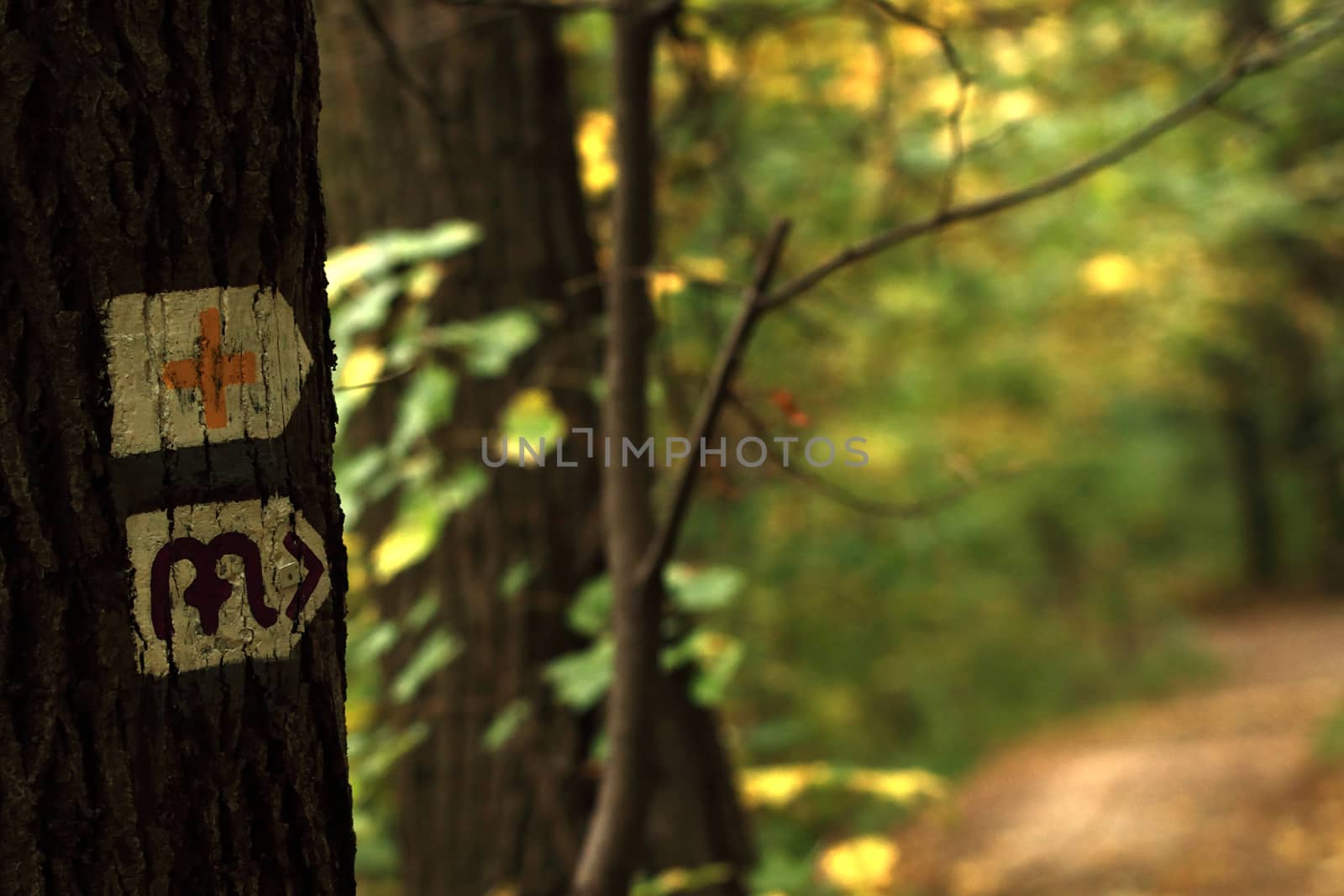 Hike sign by Nneirda