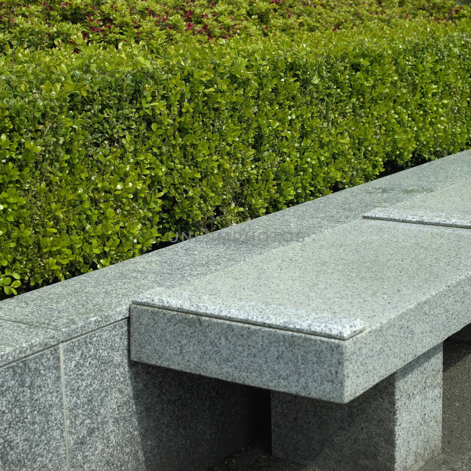 Sturdy marble park bench and stone wall backed by a trimmed green hedge