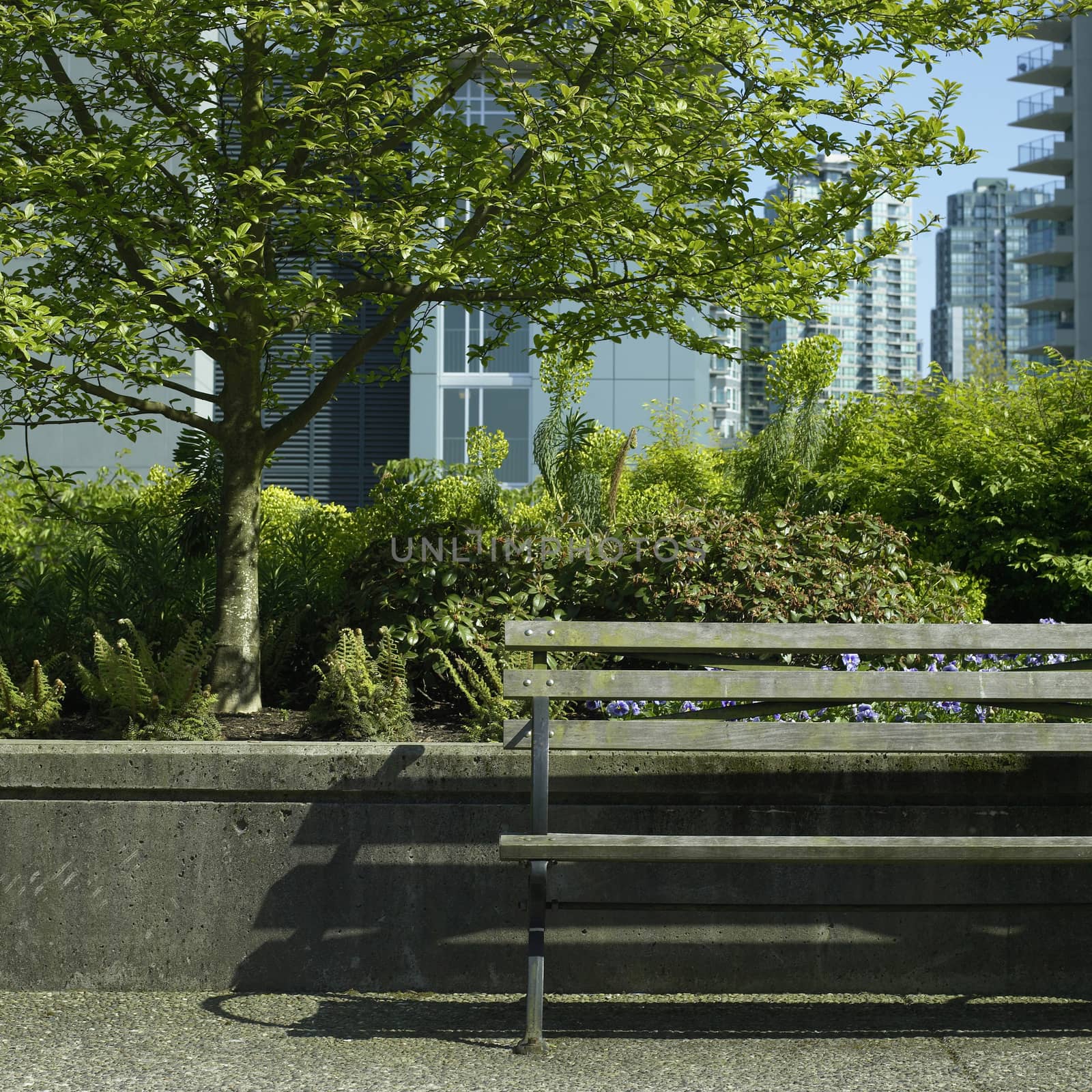 vacant park bench in the sun near an urban garden in the city