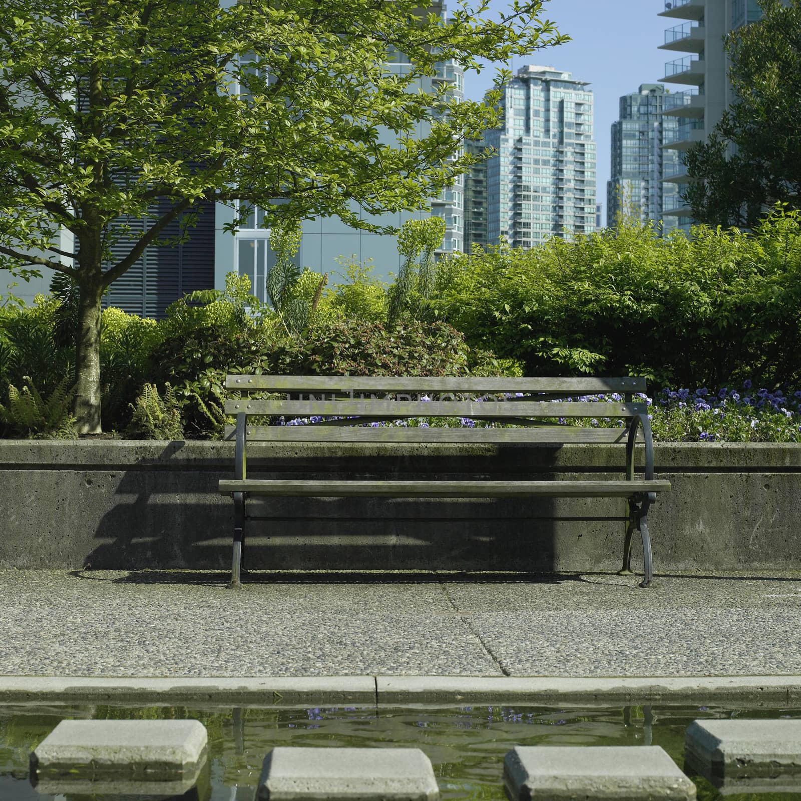 Vacant urban park bench with water feature