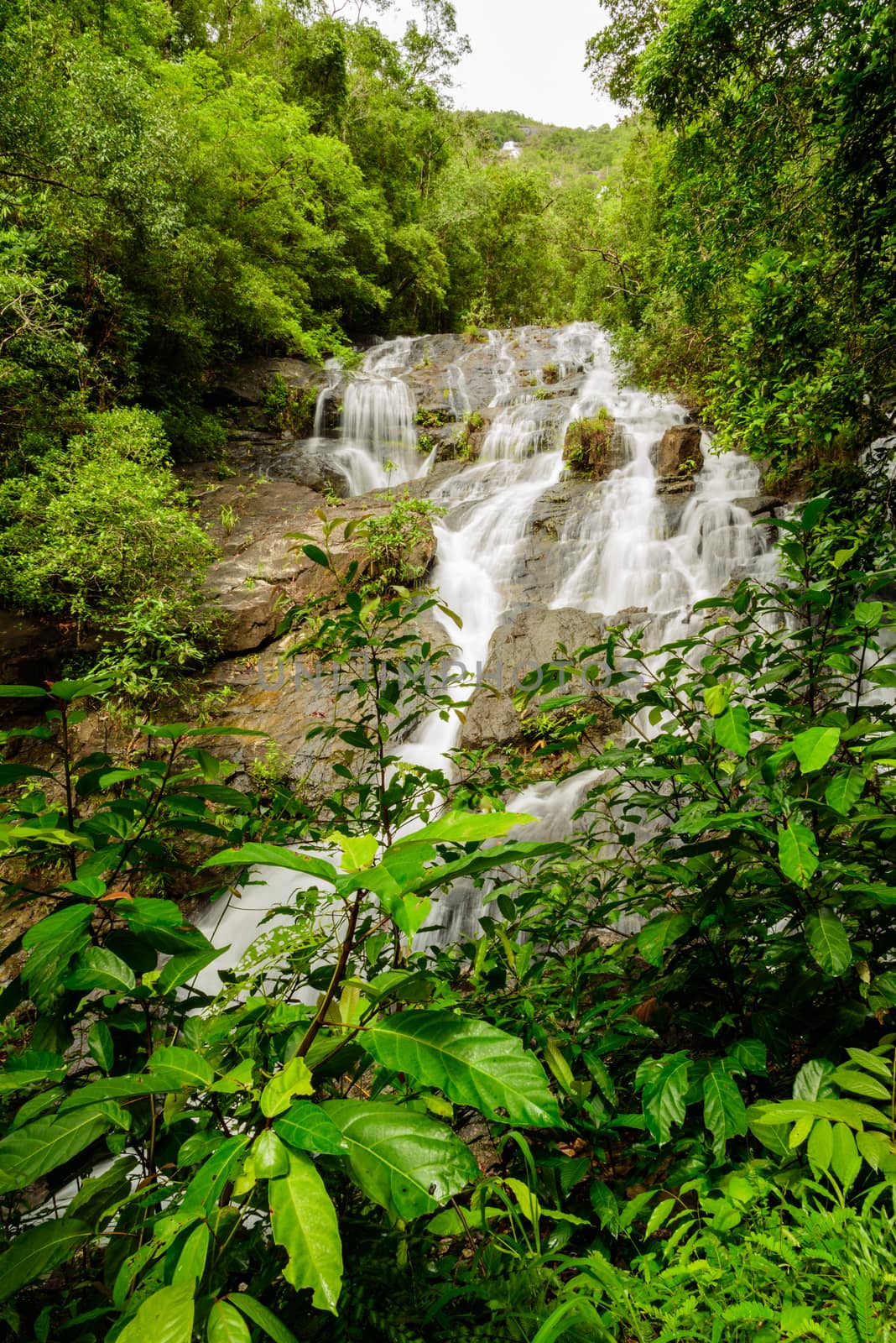 Ngow waterfall Ranong Thailand with green plant