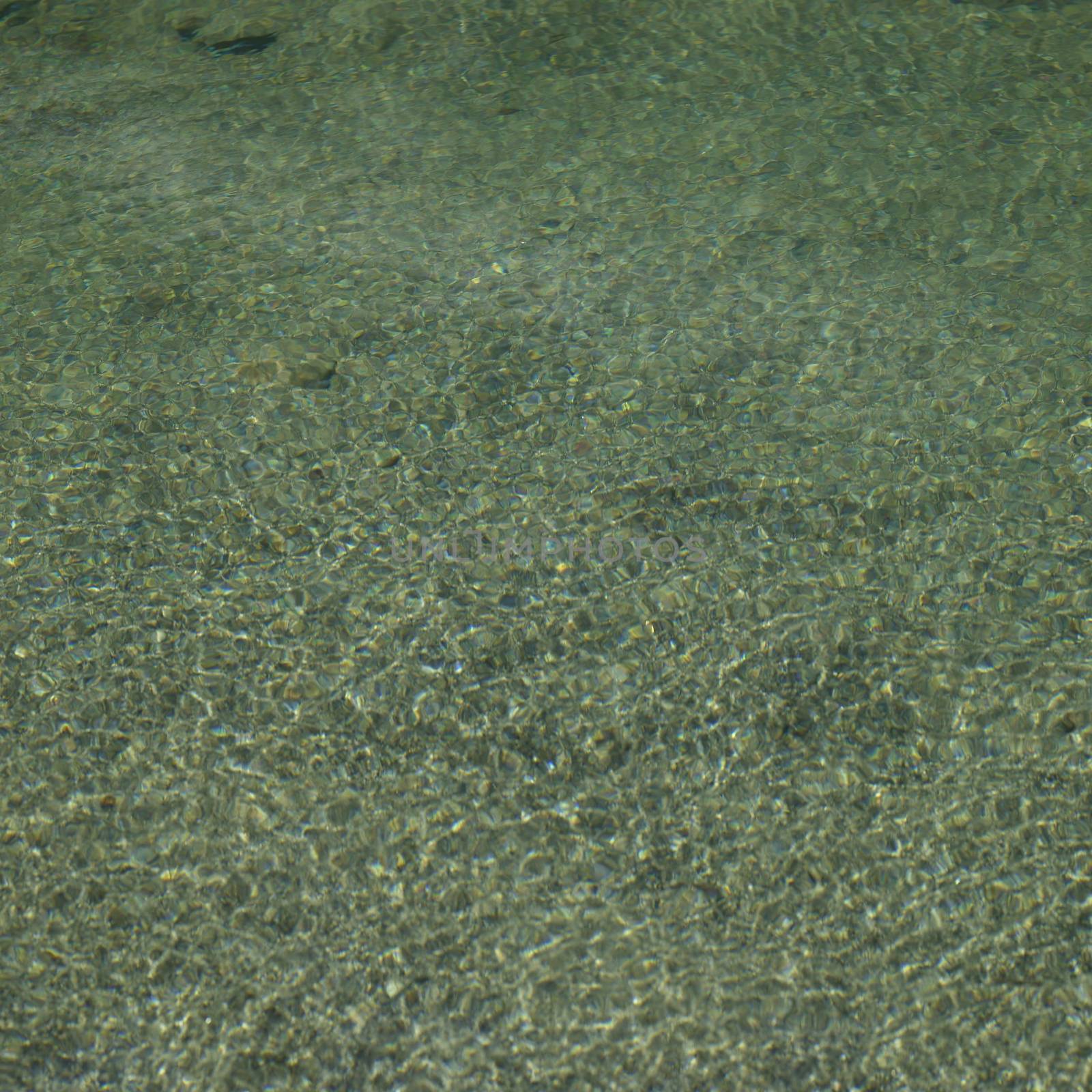 Clear river water flows over rocky bottom