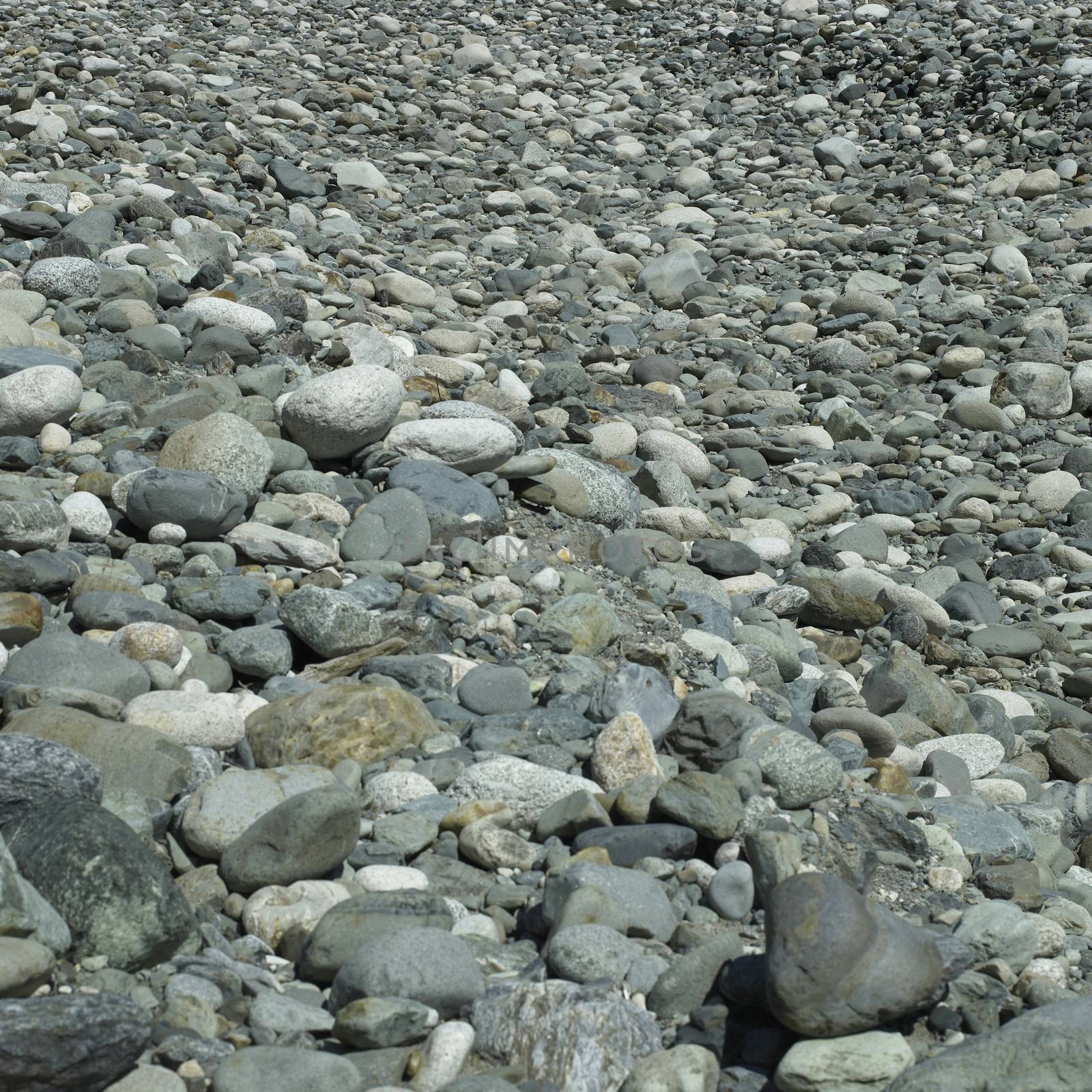 Numerous sizes of grey rocks and pebbles