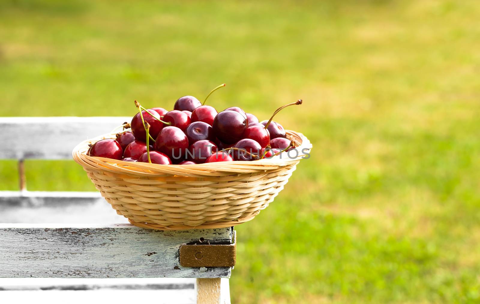 Red sweet cherries in basket, harvest in early summer