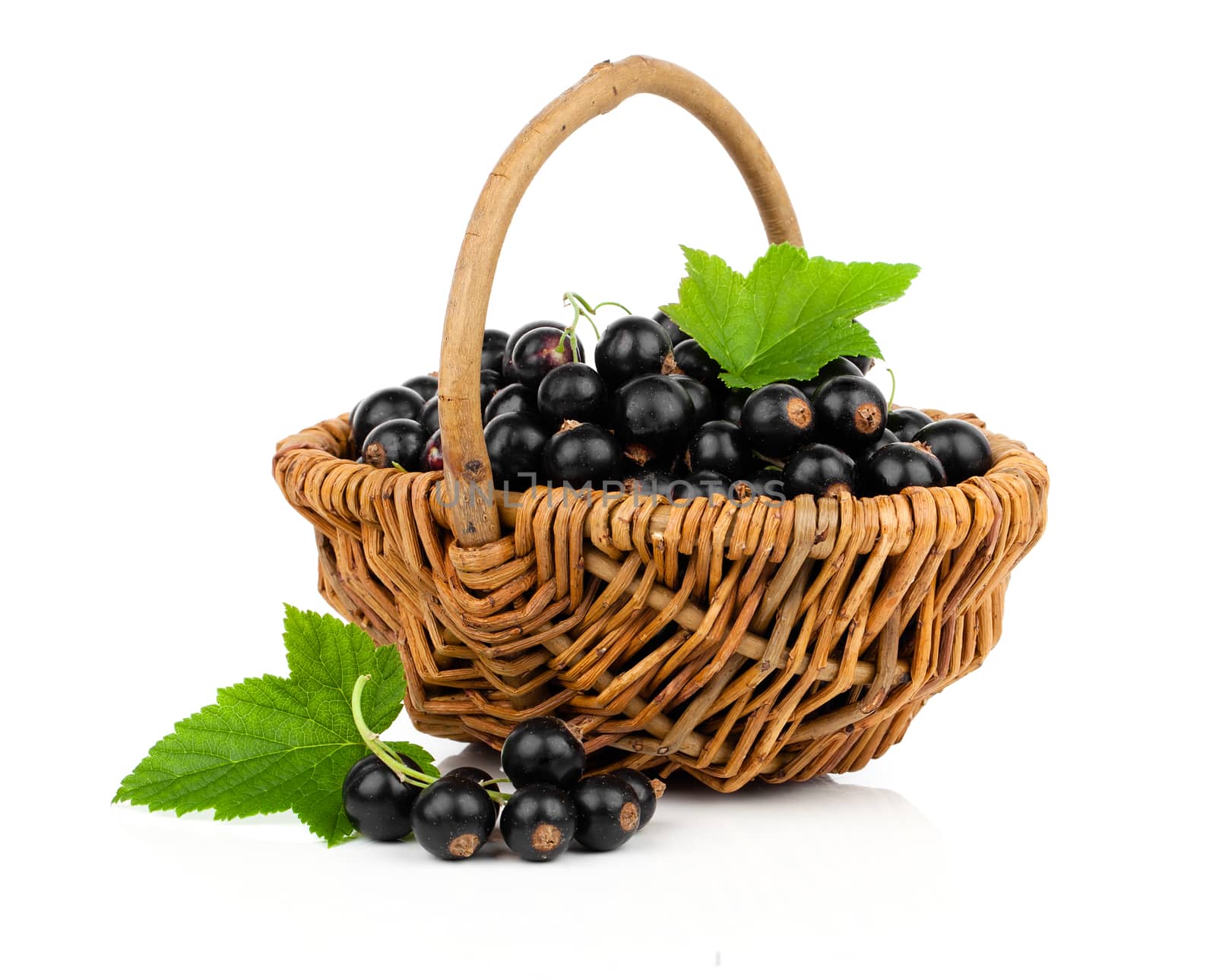 black currant in a wicker basket, on a white background