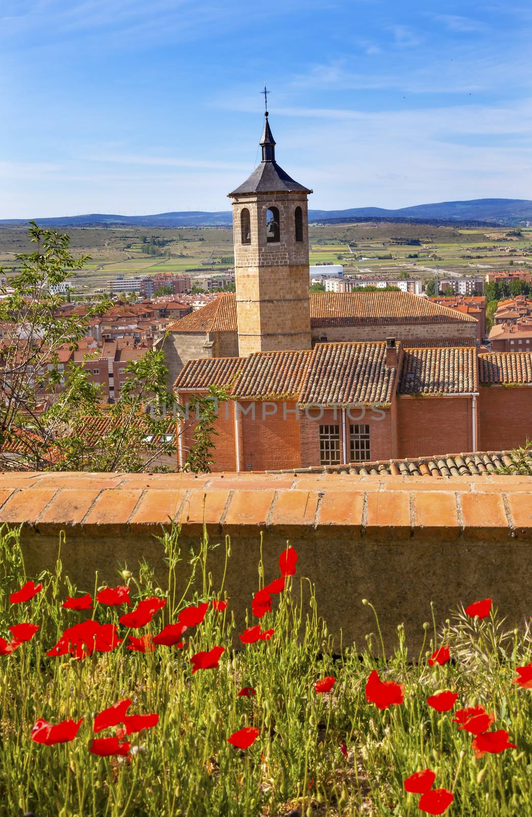 Convent Santa Maria, Convento de Santa Maria de Gracia Red Poppies Swallows Avila Ancient Medieval City Castile Spain.  Convent was founded in the 1500s by Lady Maria Mencia de San Agustin Avila is described as the most 16th century town in Spain. 