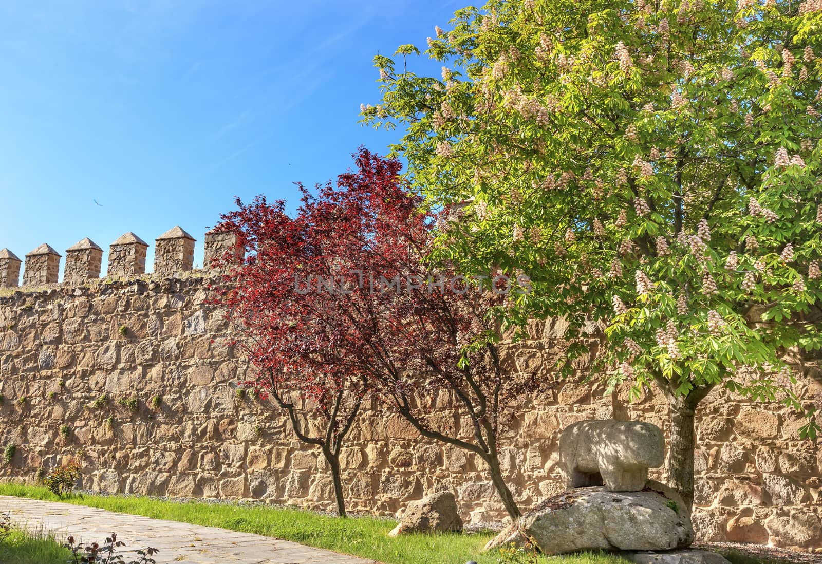 Ancient Bull Statue Verraco Castle Walls Swallows Avila Castile Spain.  Described as the most 16th century town in Spain.  Walls created in 1088 after Christians conquer and take the city from the Moors.  Bull States created in 200BC.  