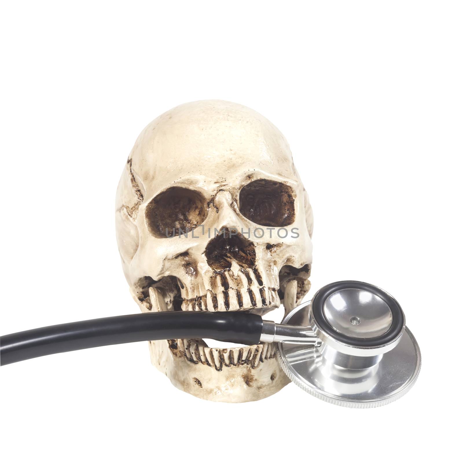 human skull and stethoscope on white background