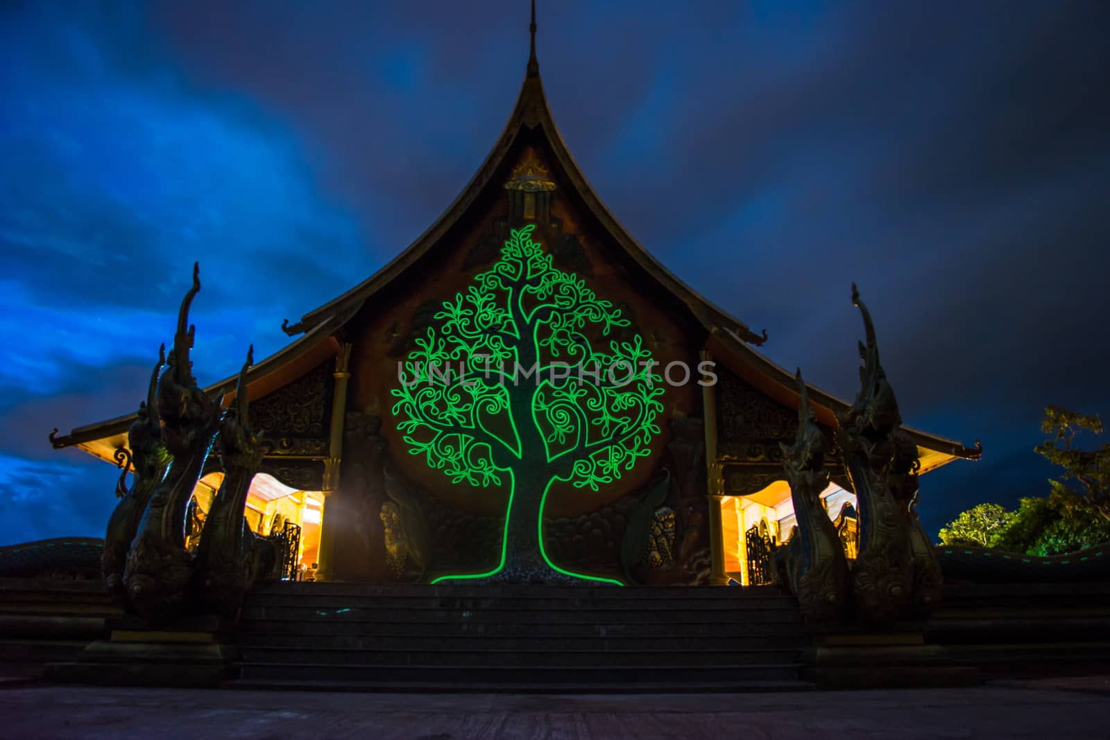 Art tree glow on the back of the hall of the temple in Thailand.
