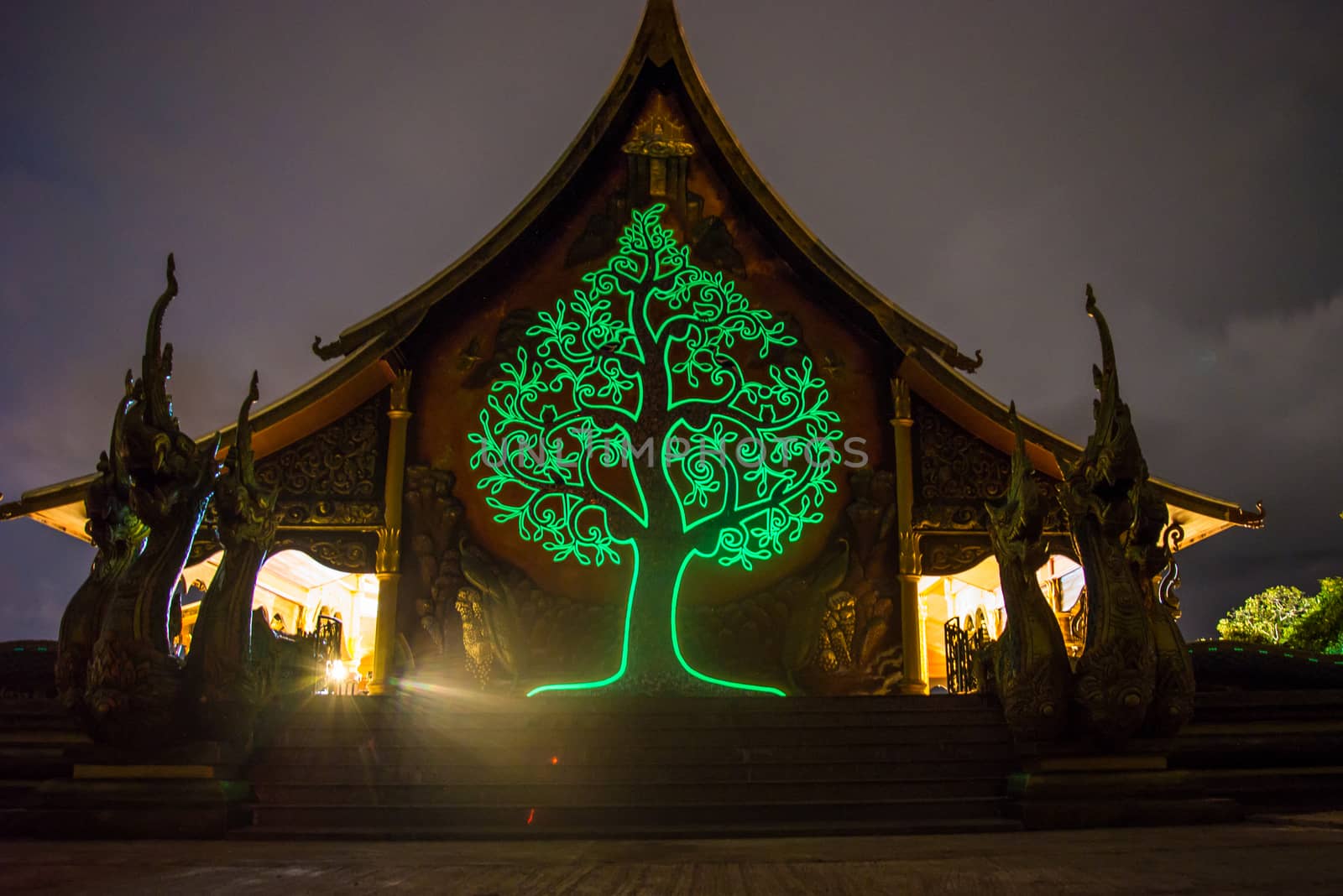Art tree glow on the back of the hall of the temple in Thailand.