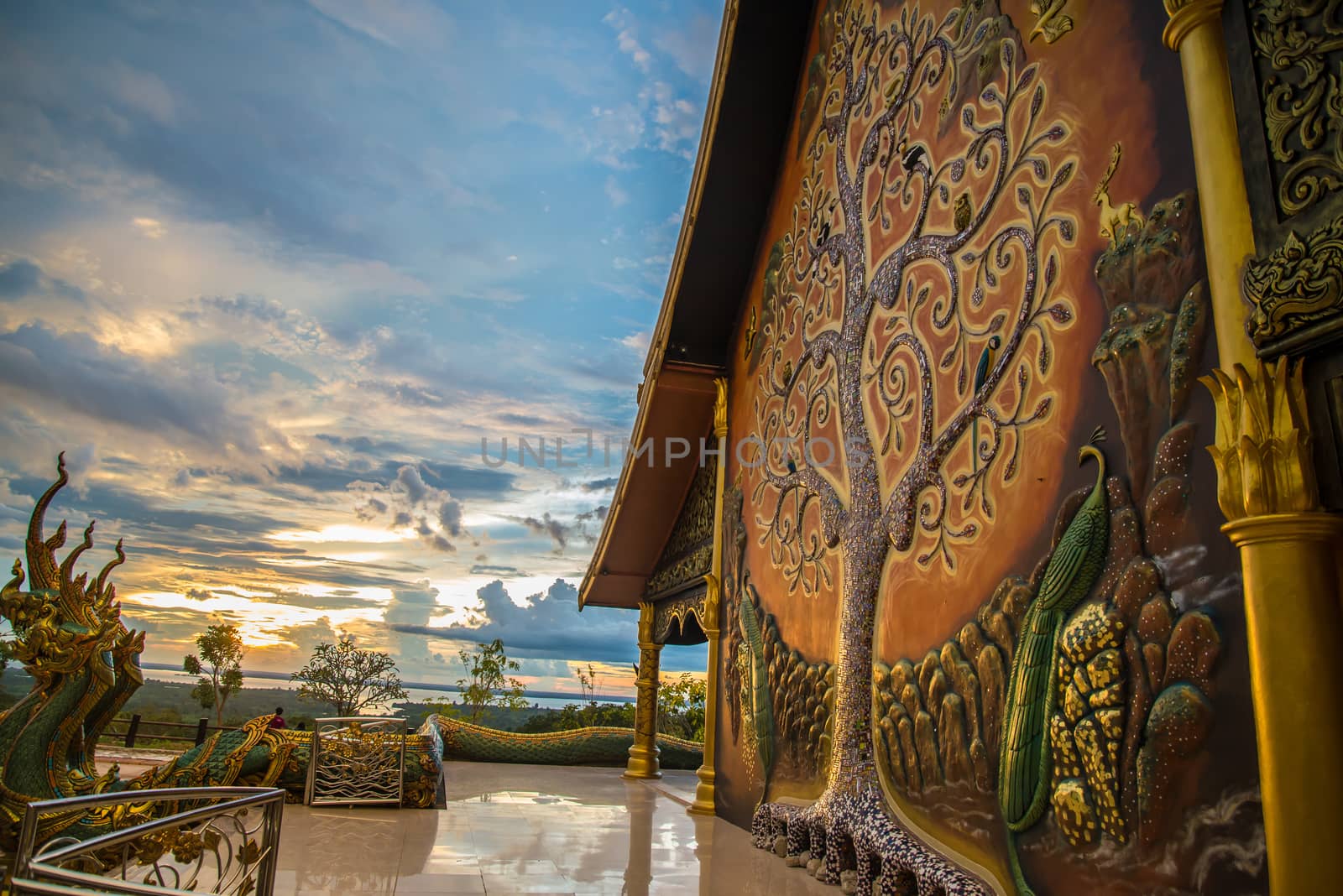 Art tree glow on the back of the hall of the temple in Thailand.